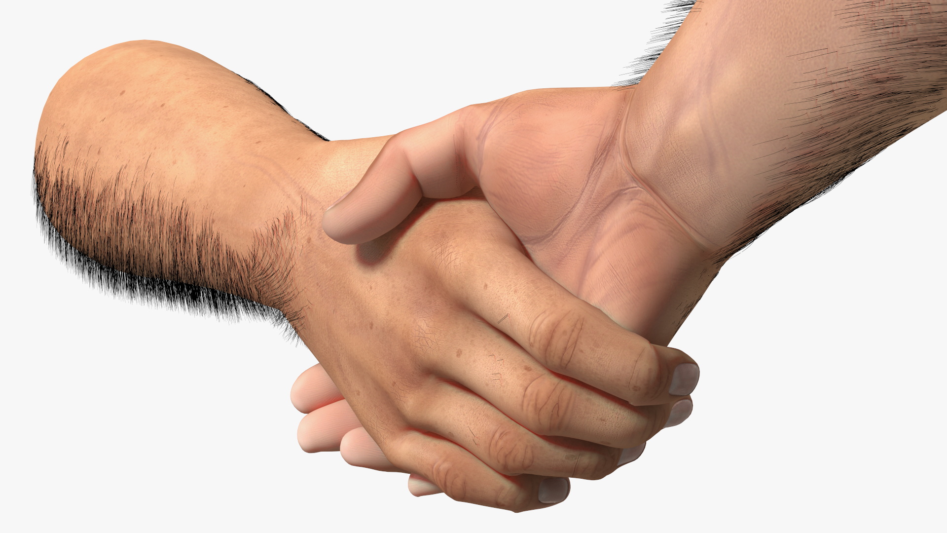 3D Handshake Man Hands with Fur model