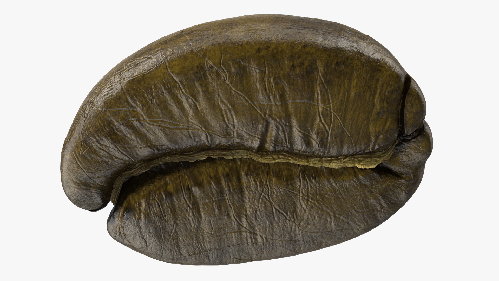 3D Green Coffee Beans model