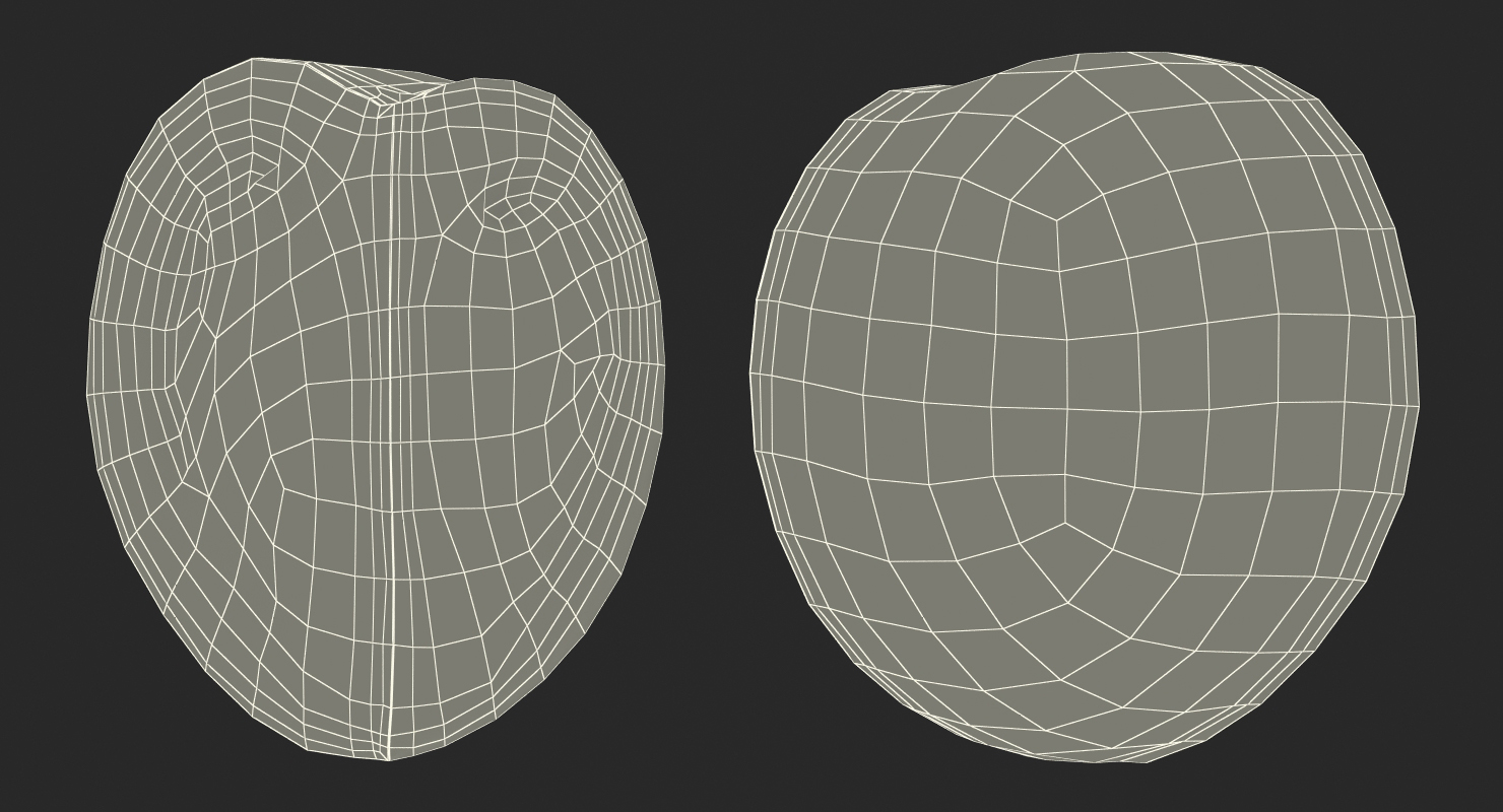 3D Quarter of Green Tomato model