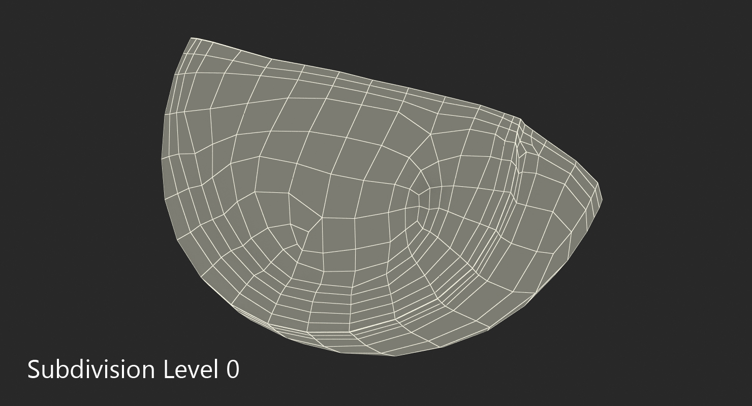 3D Quarter of Green Tomato model