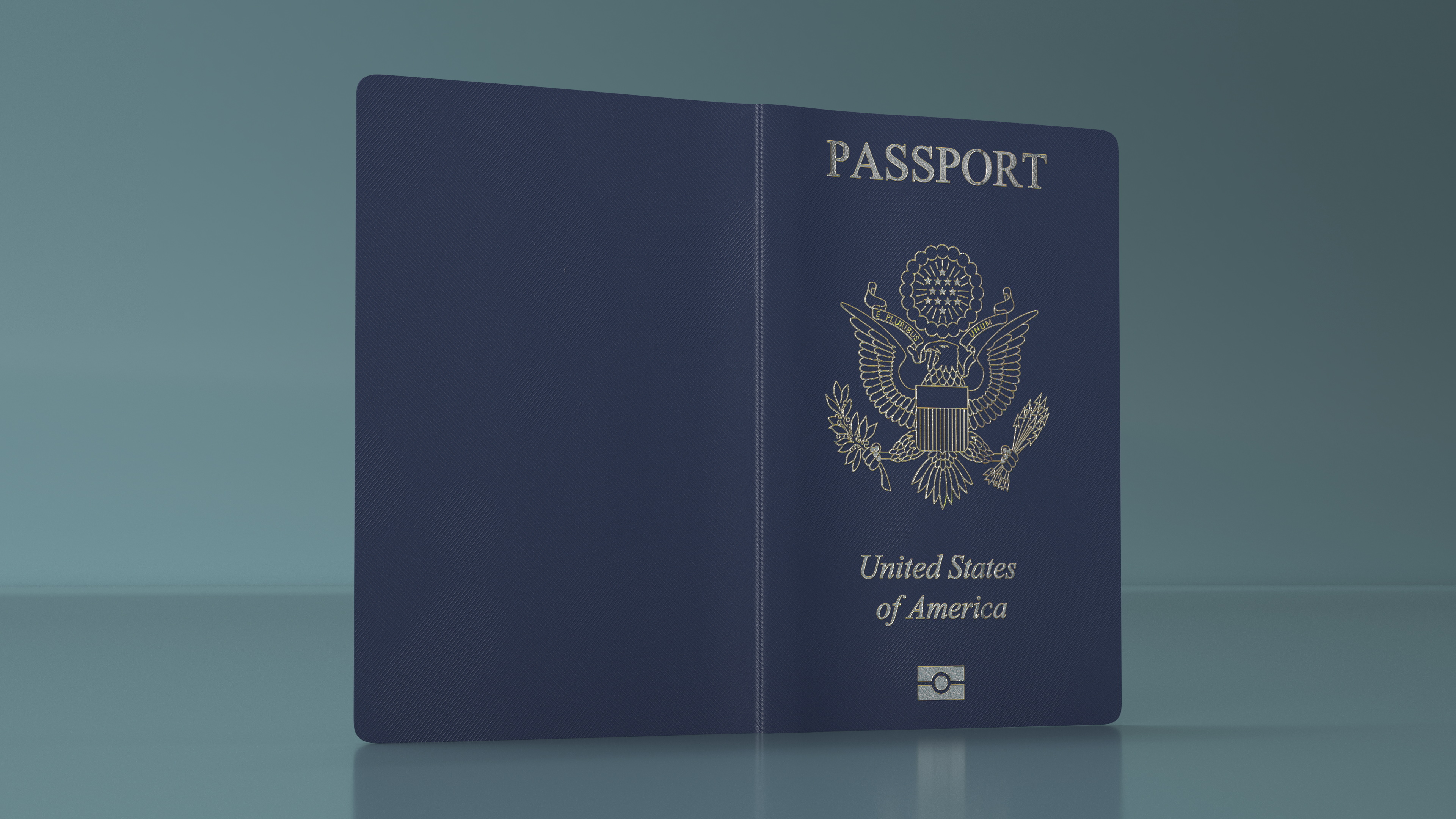 3D Passport of US with Travel Stamps model