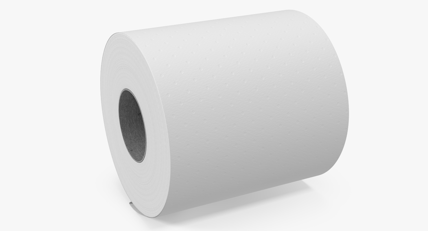 Toilet Paper 2 3D model