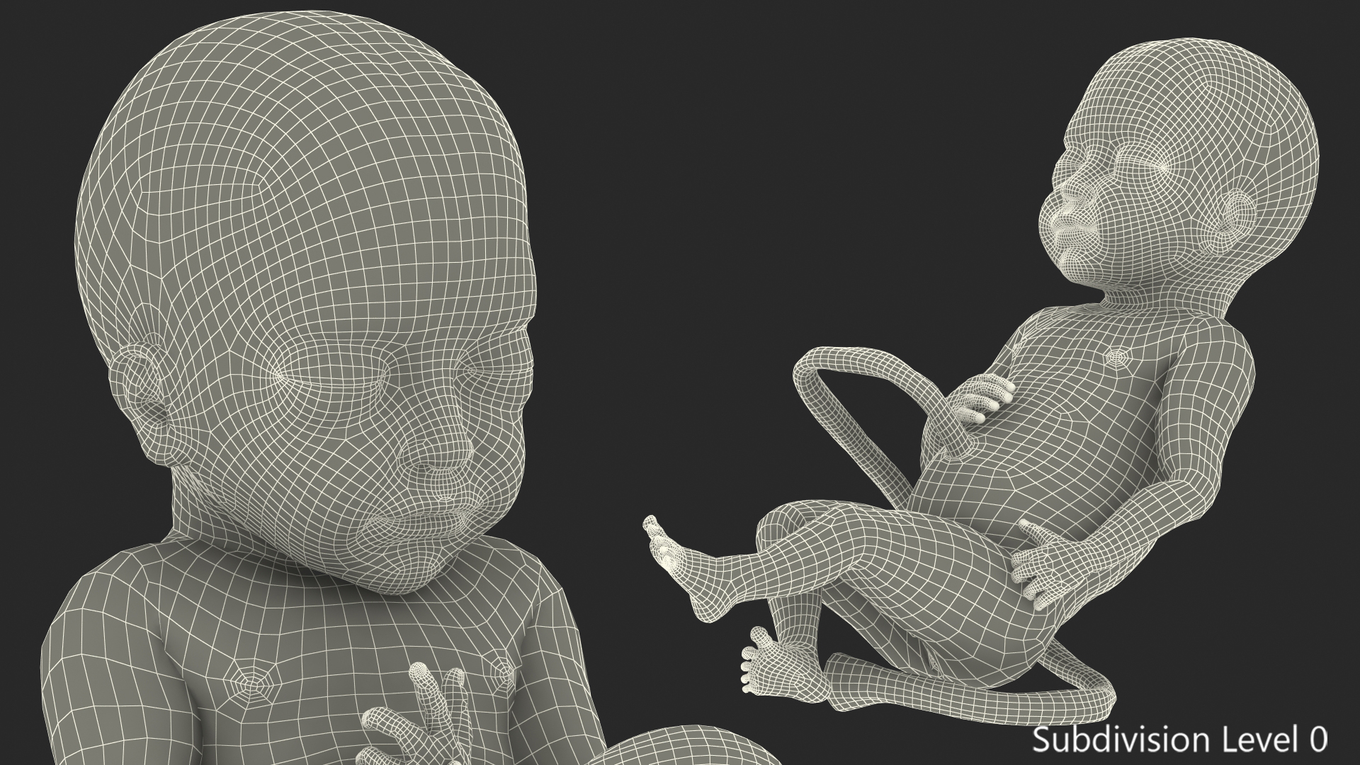 Baby Boy at 28 Weeks Rigged 3D