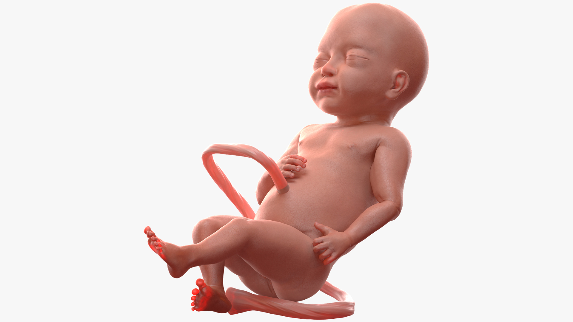 Baby Boy at 28 Weeks Rigged 3D