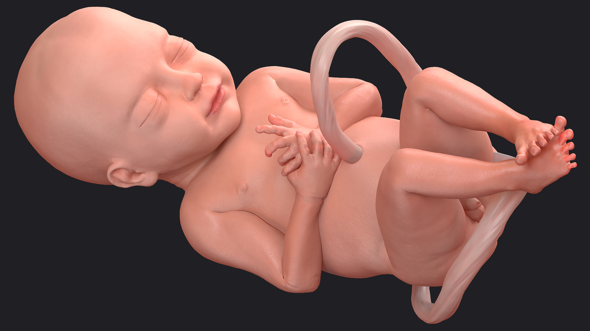 Baby Boy at 28 Weeks Rigged 3D