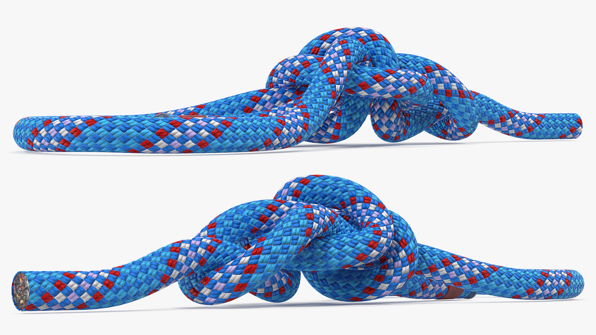 3D Water Bowline Knot model