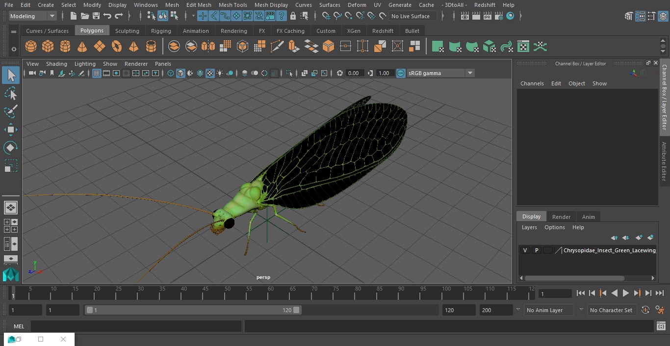 3D Chrysopidae Insect Green Lacewing model