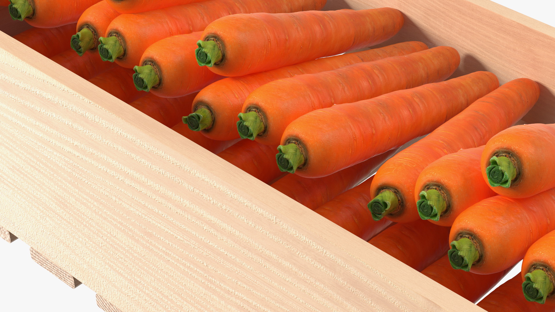 Beech Wood Rack with Carrot 3D