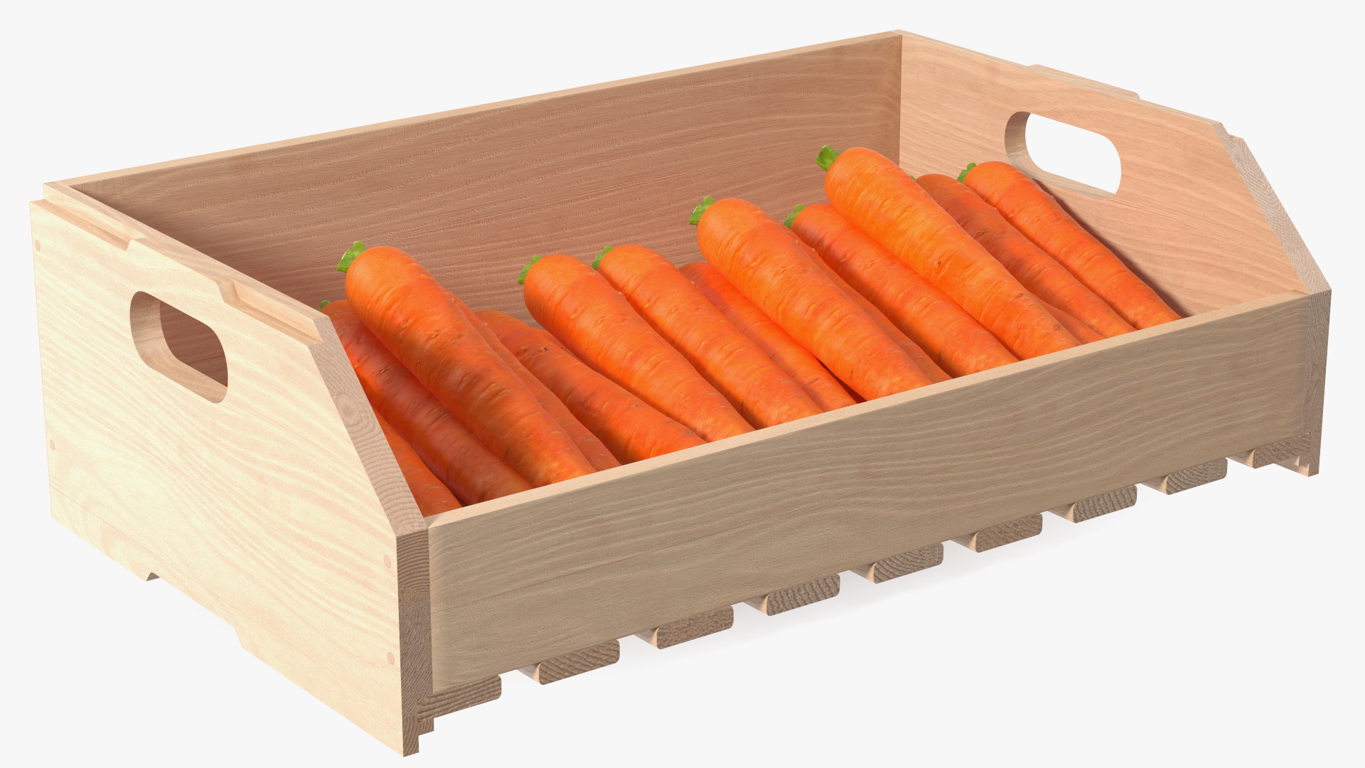 Beech Wood Rack with Carrot 3D