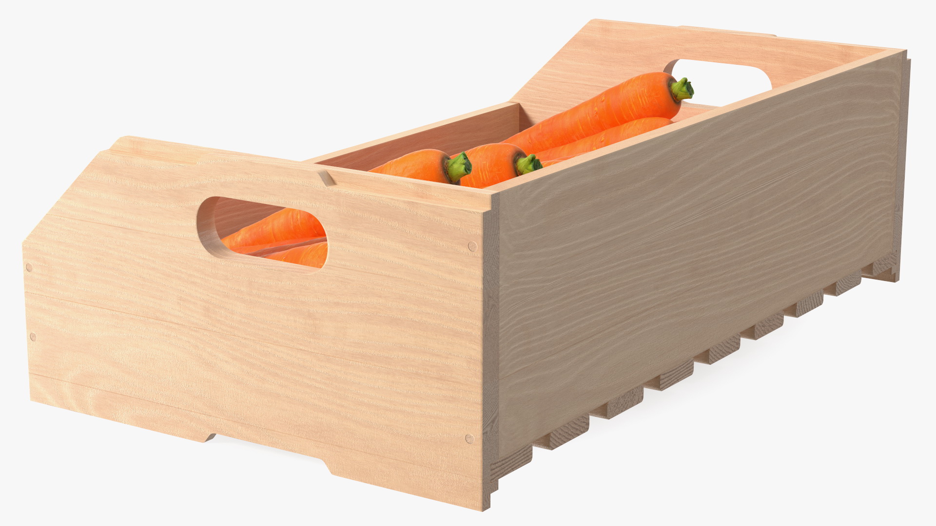 Beech Wood Rack with Carrot 3D