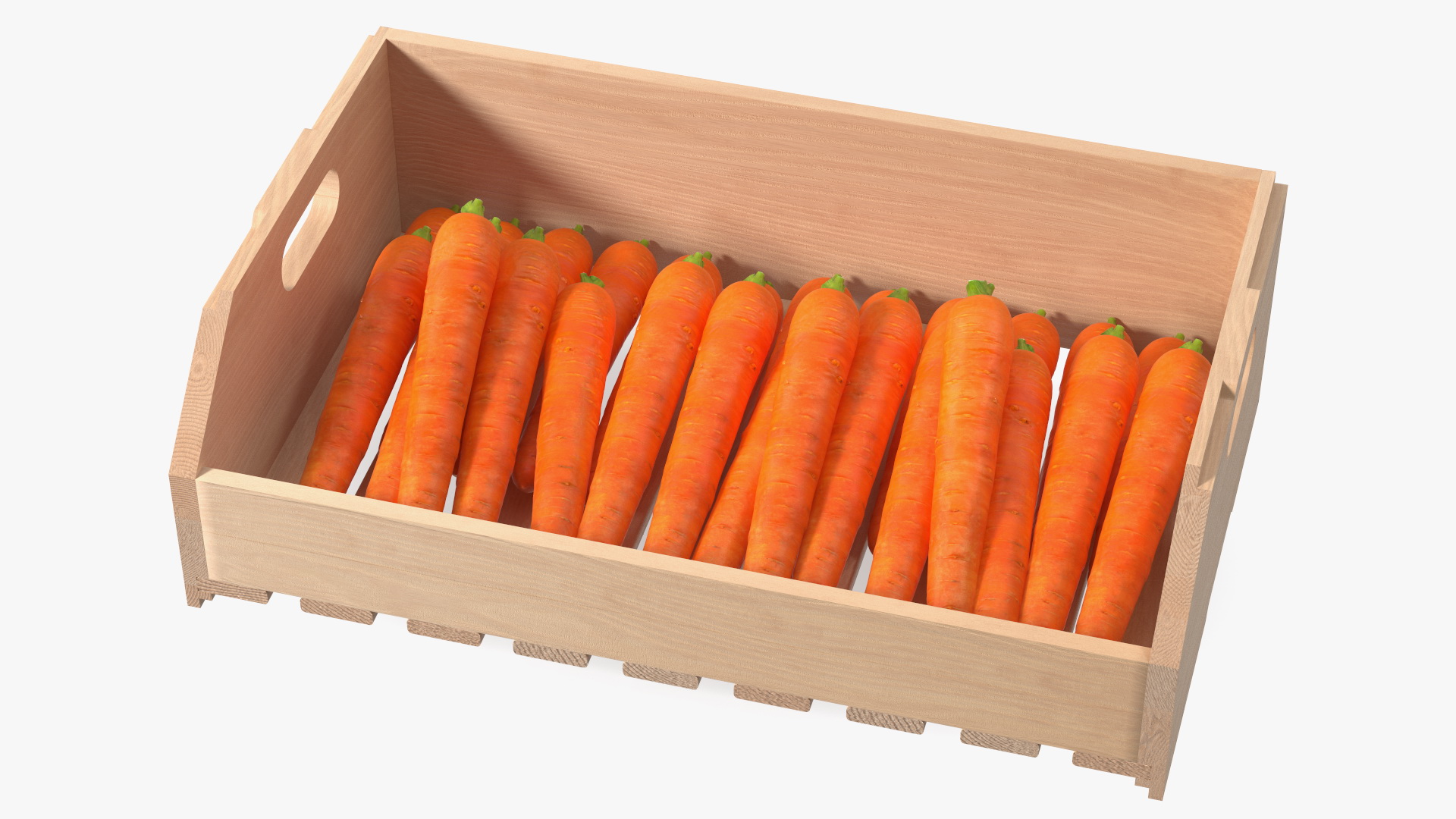 Beech Wood Rack with Carrot 3D