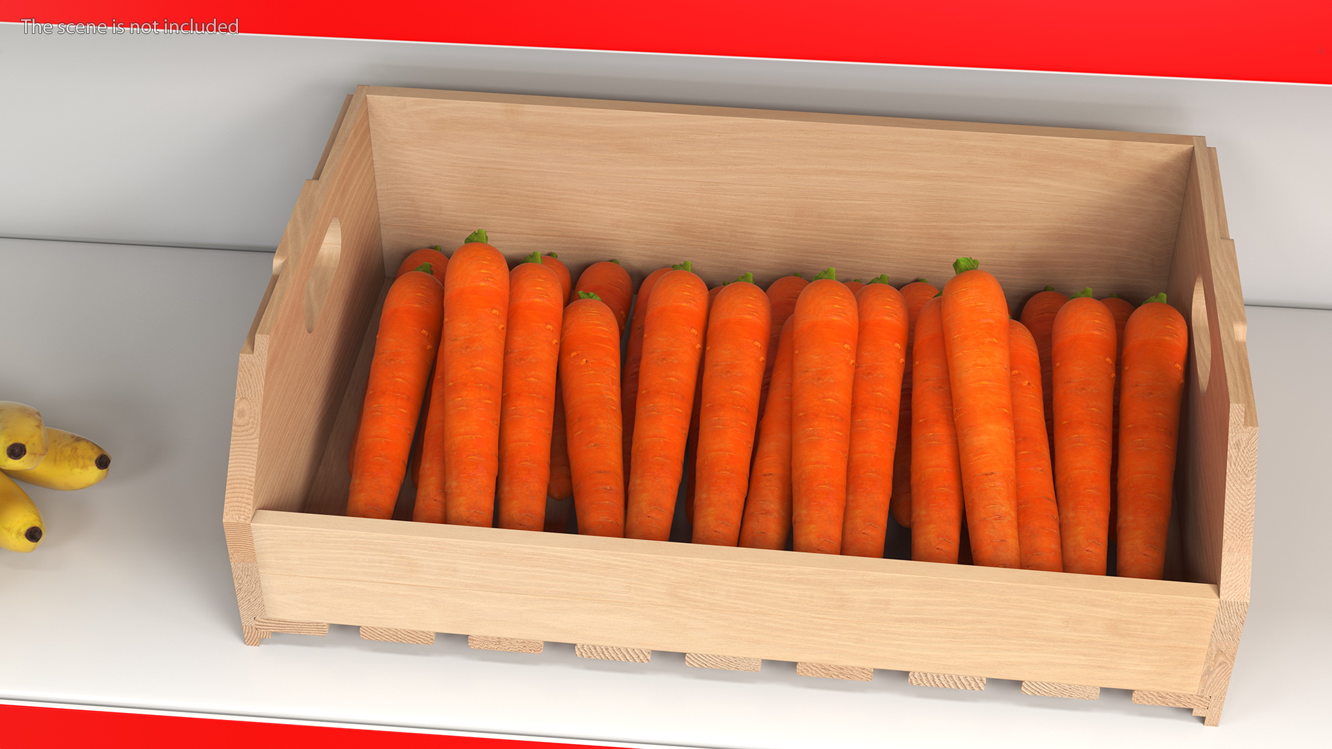 Beech Wood Rack with Carrot 3D