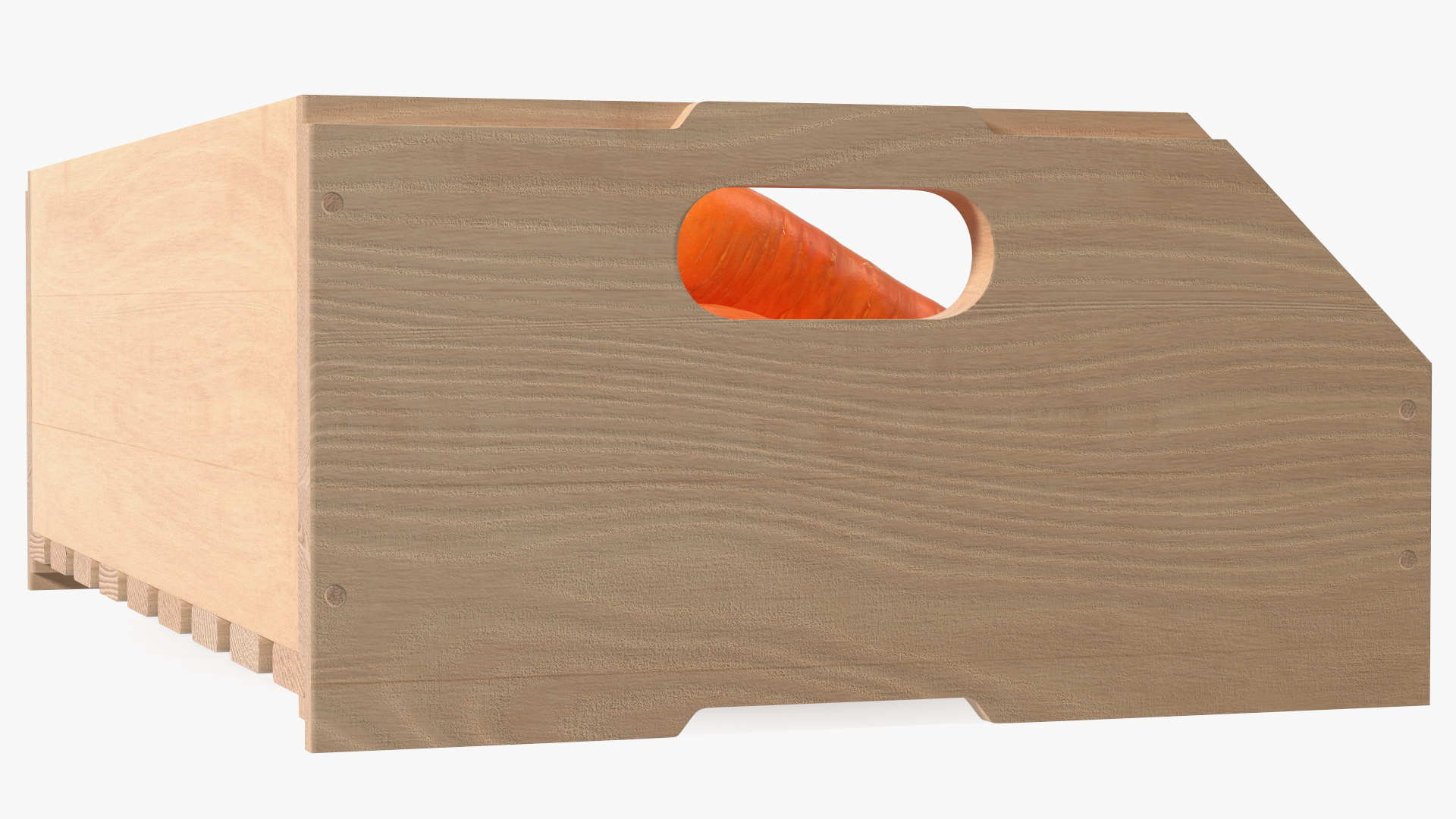 Beech Wood Rack with Carrot 3D