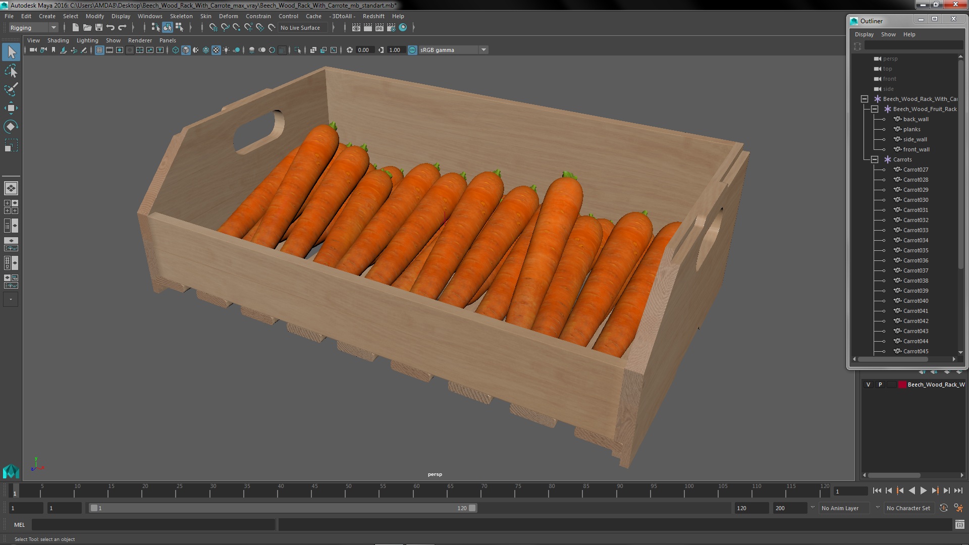 Beech Wood Rack with Carrot 3D