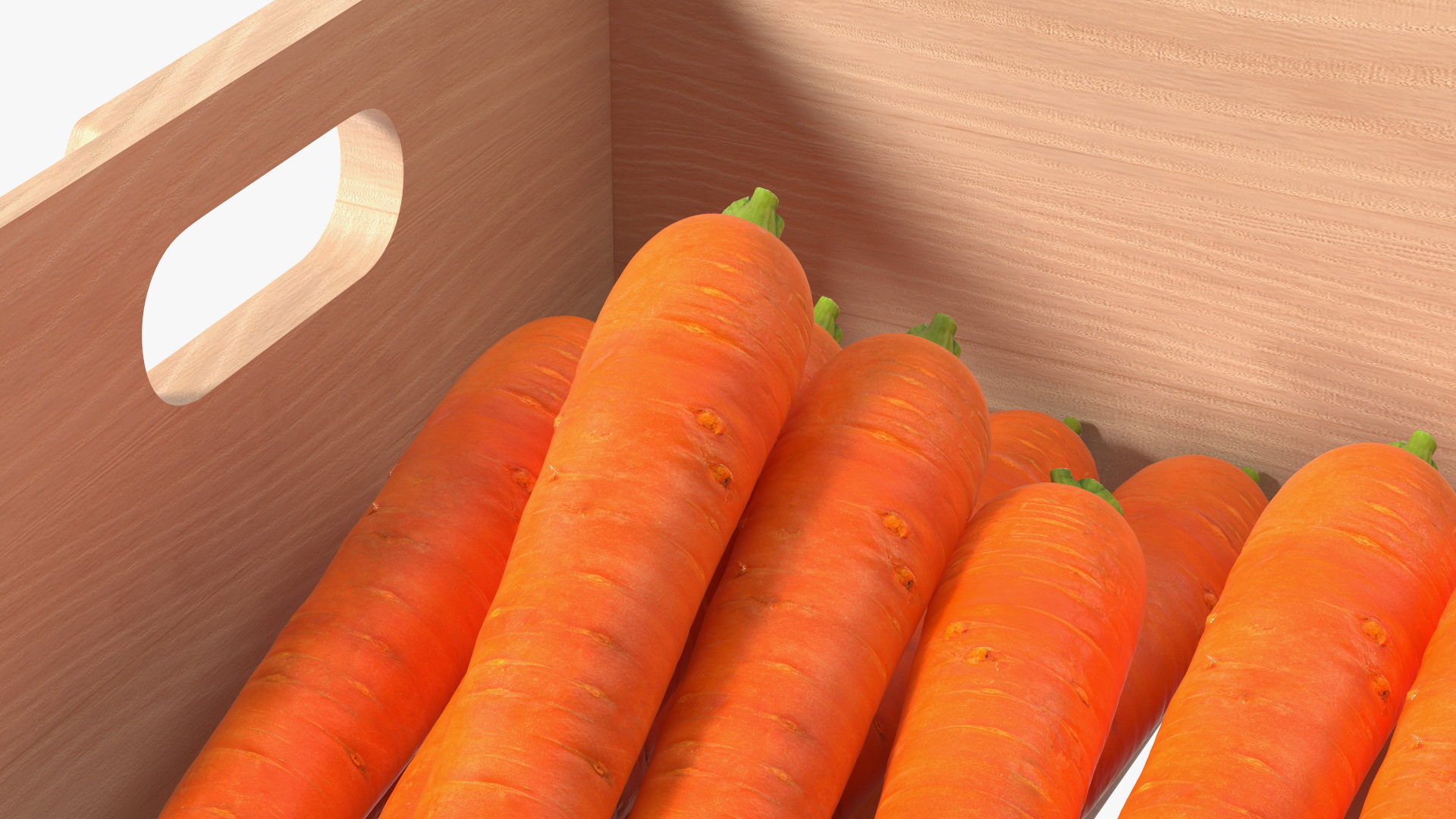 Beech Wood Rack with Carrot 3D