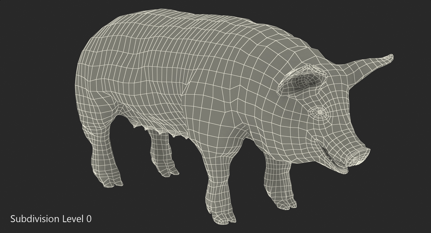 Pig Sow Landrace Rigged with Fur 3D