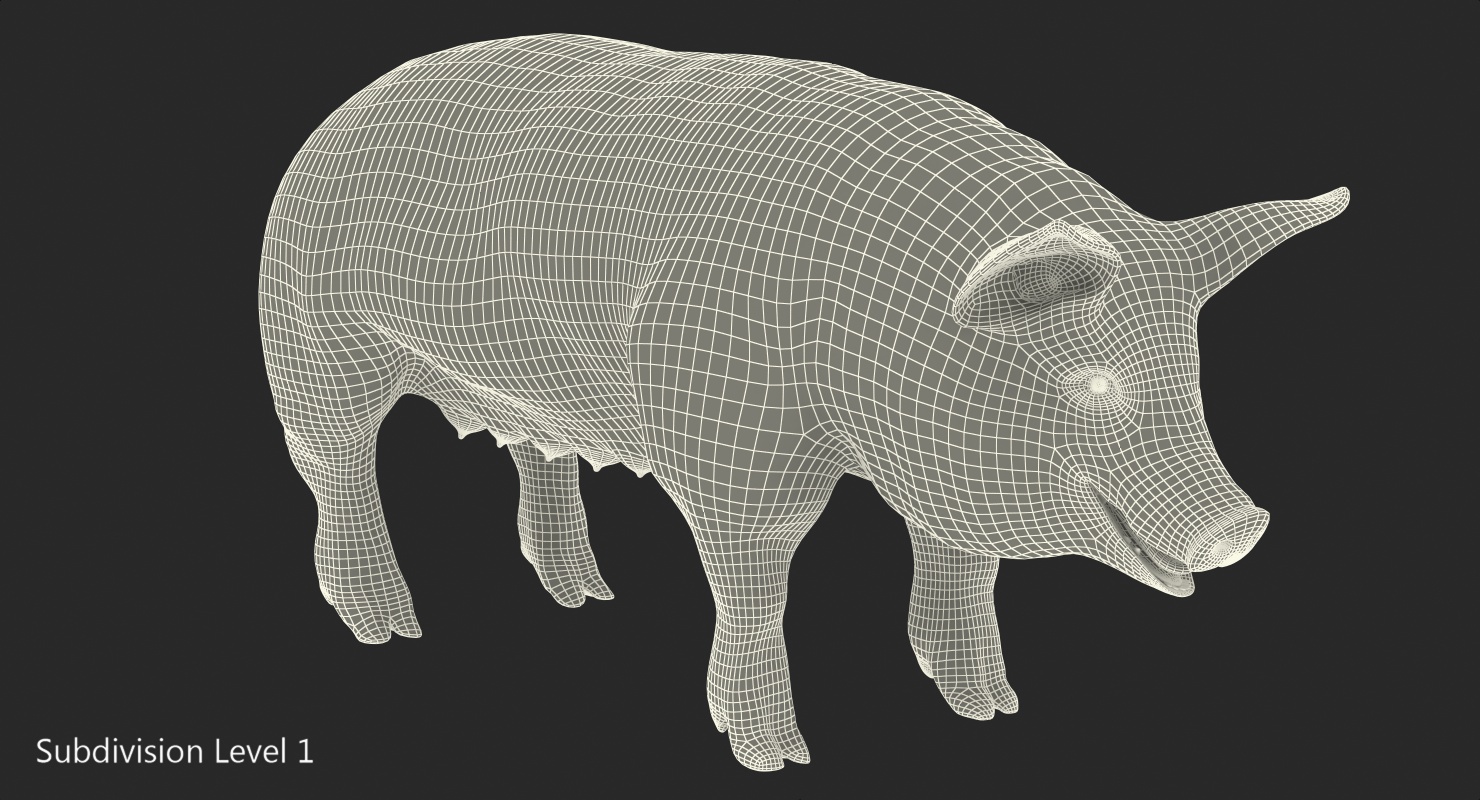 Pig Sow Landrace Rigged with Fur 3D