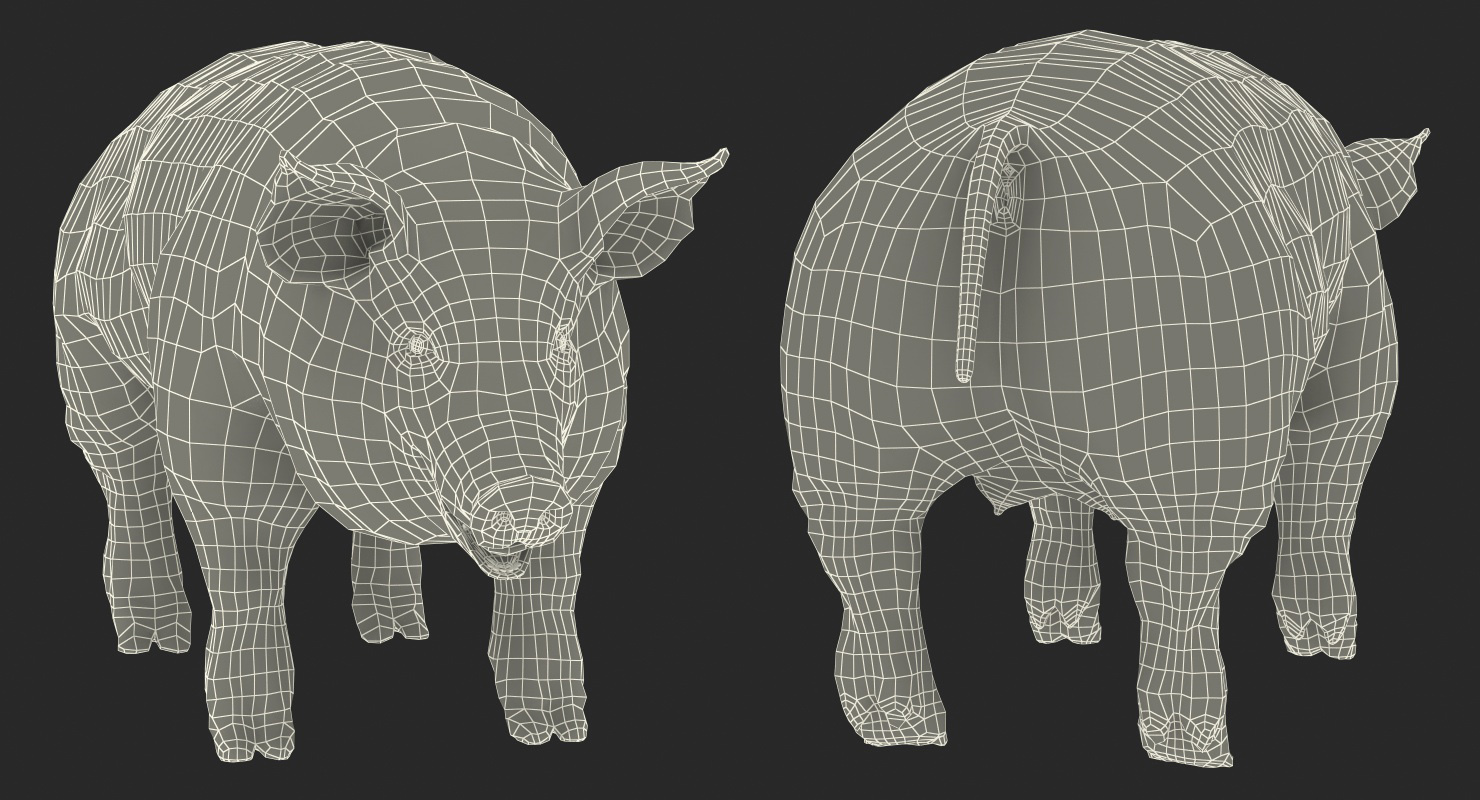 Pig Sow Landrace Rigged with Fur 3D