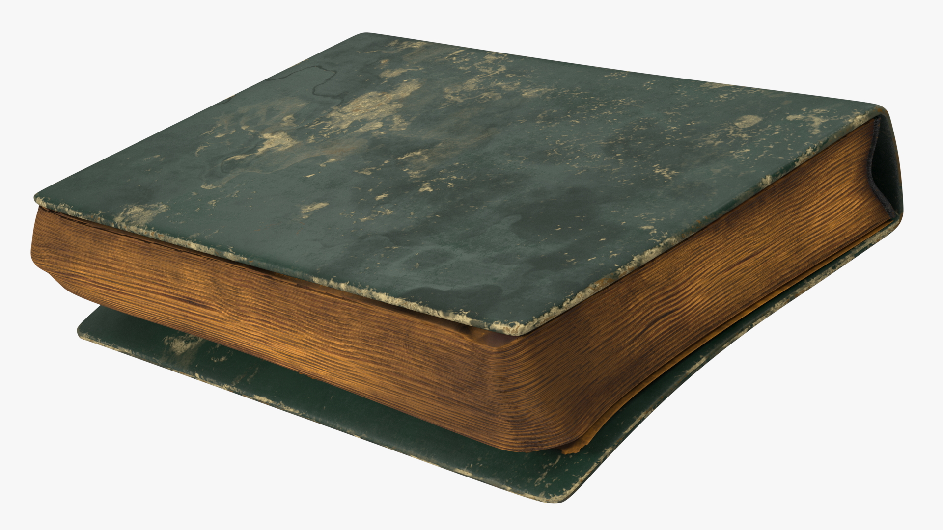 3D model Very Old Closed Book