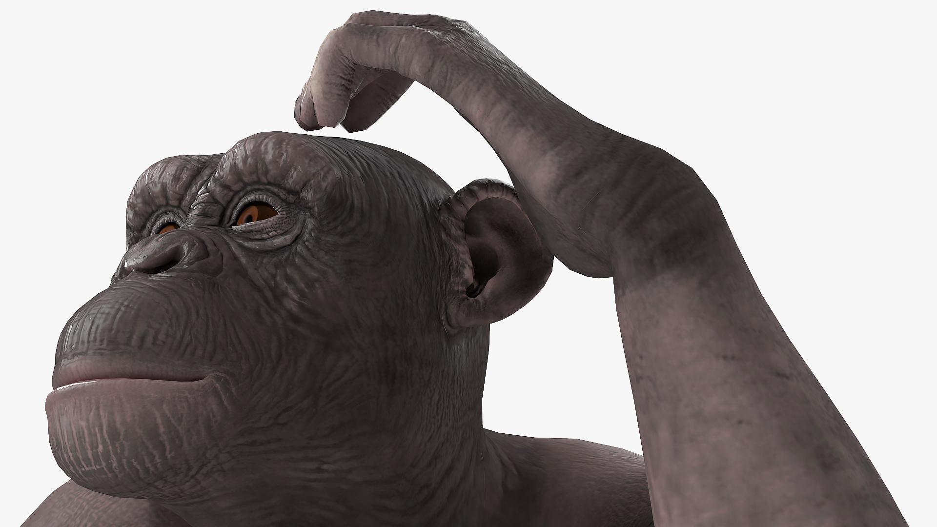 Chimpanzee Dark Rigged 3D