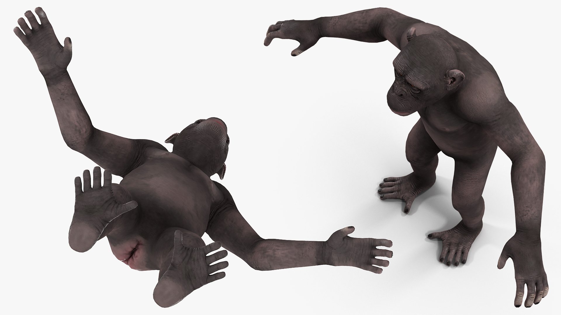 Chimpanzee Dark Rigged 3D