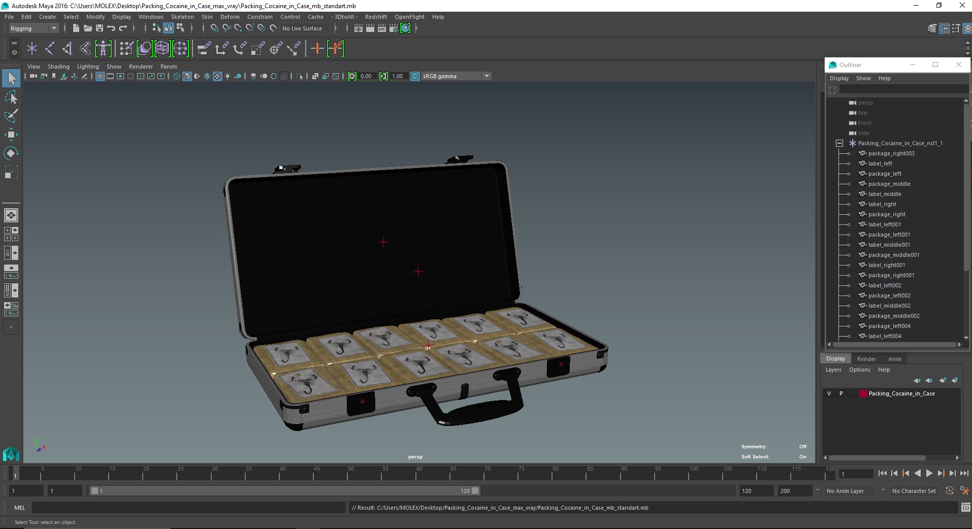 3D Packing Cocaine in Case model