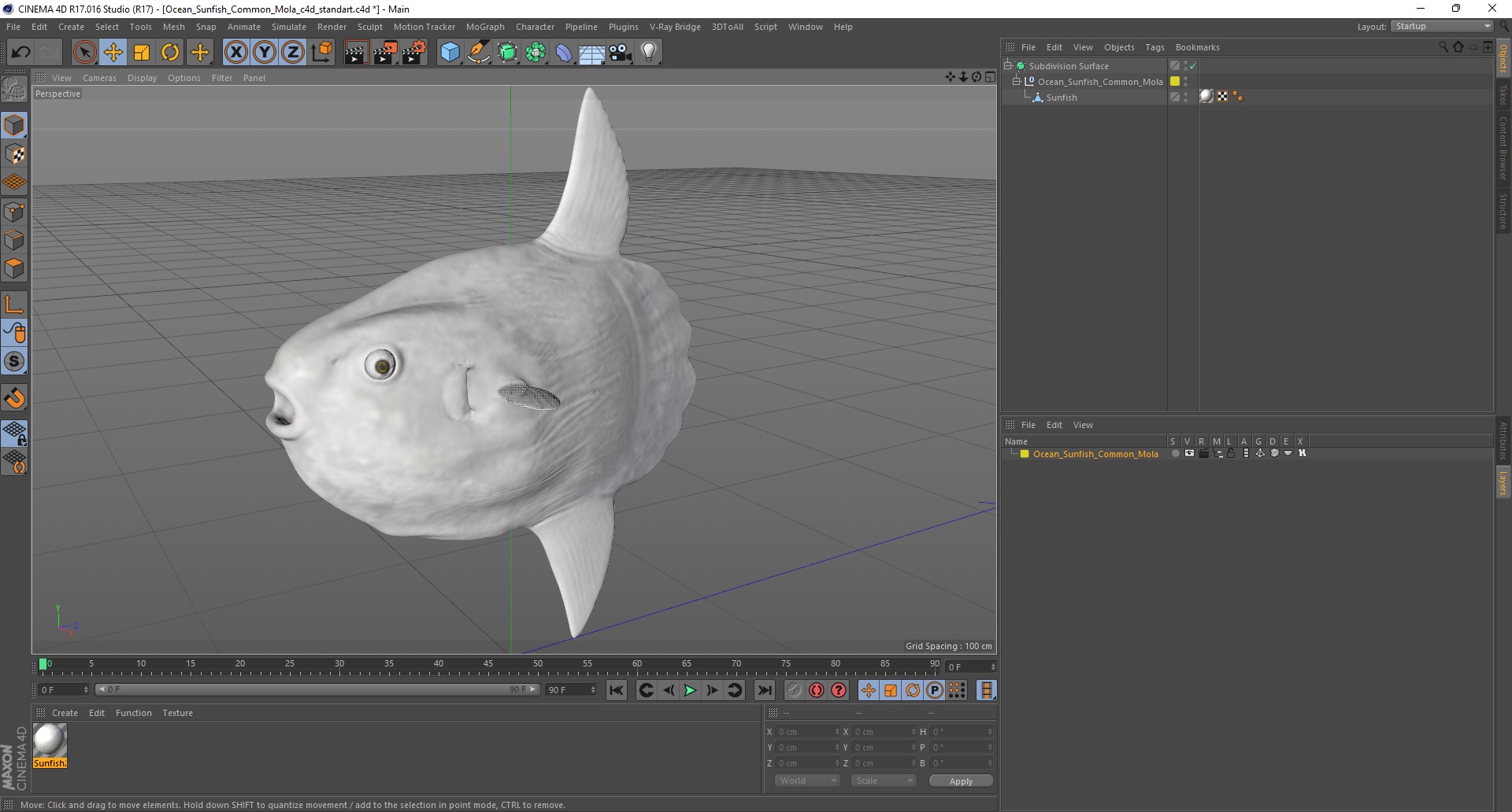 3D model Ocean Sunfish Common Mola