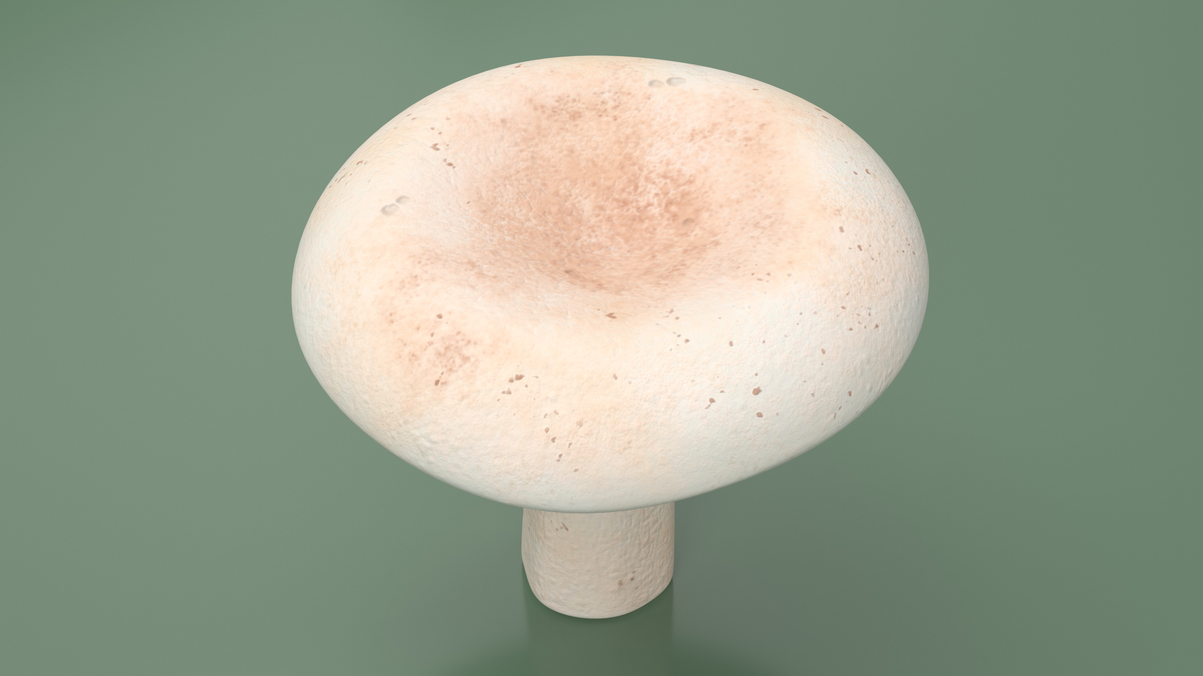 3D Milk Mushroom model