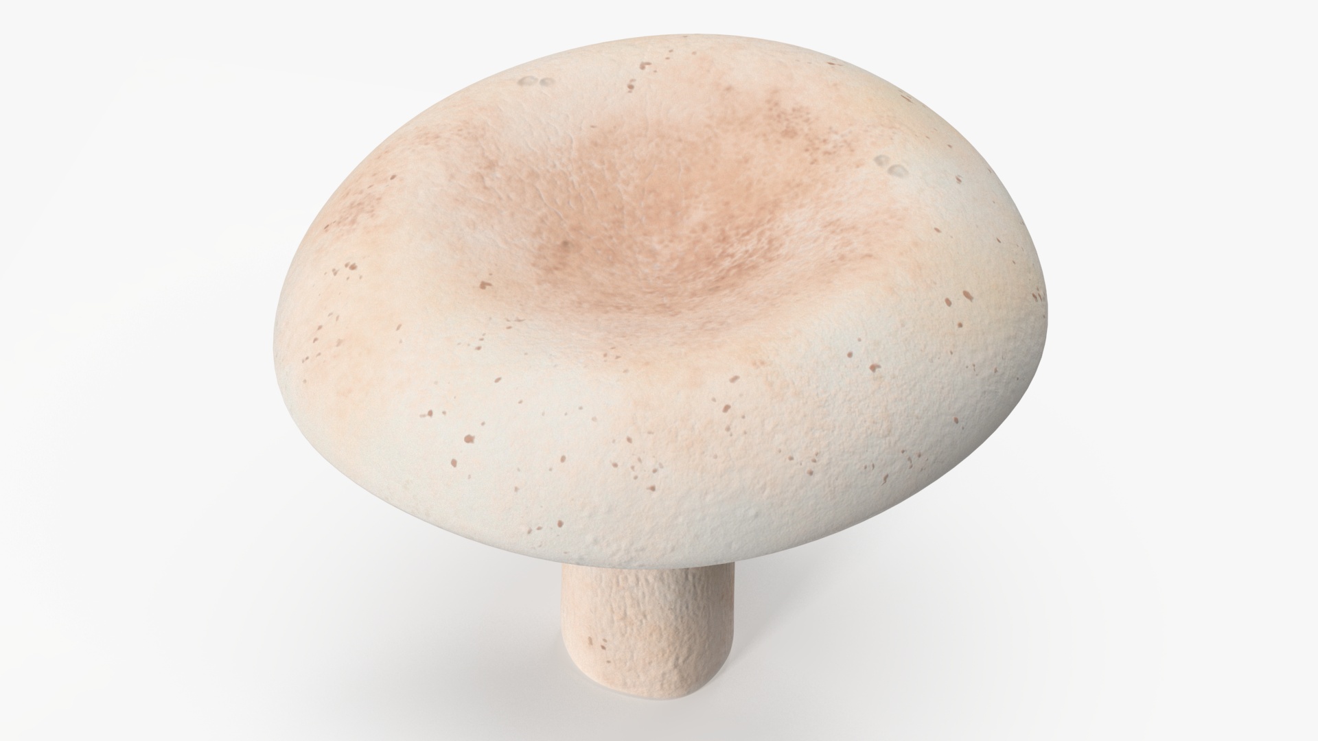 3D Milk Mushroom model