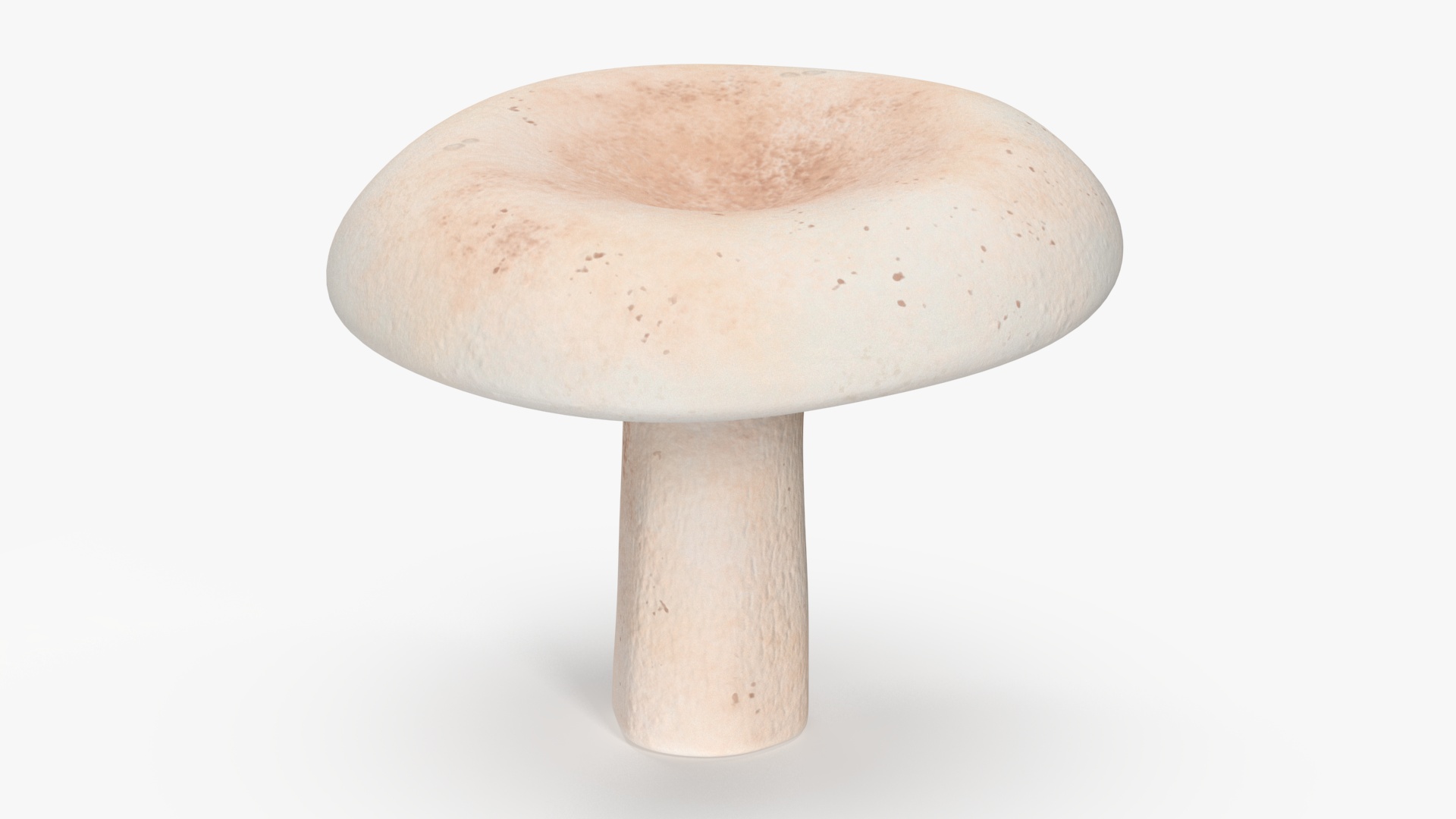 3D Milk Mushroom model