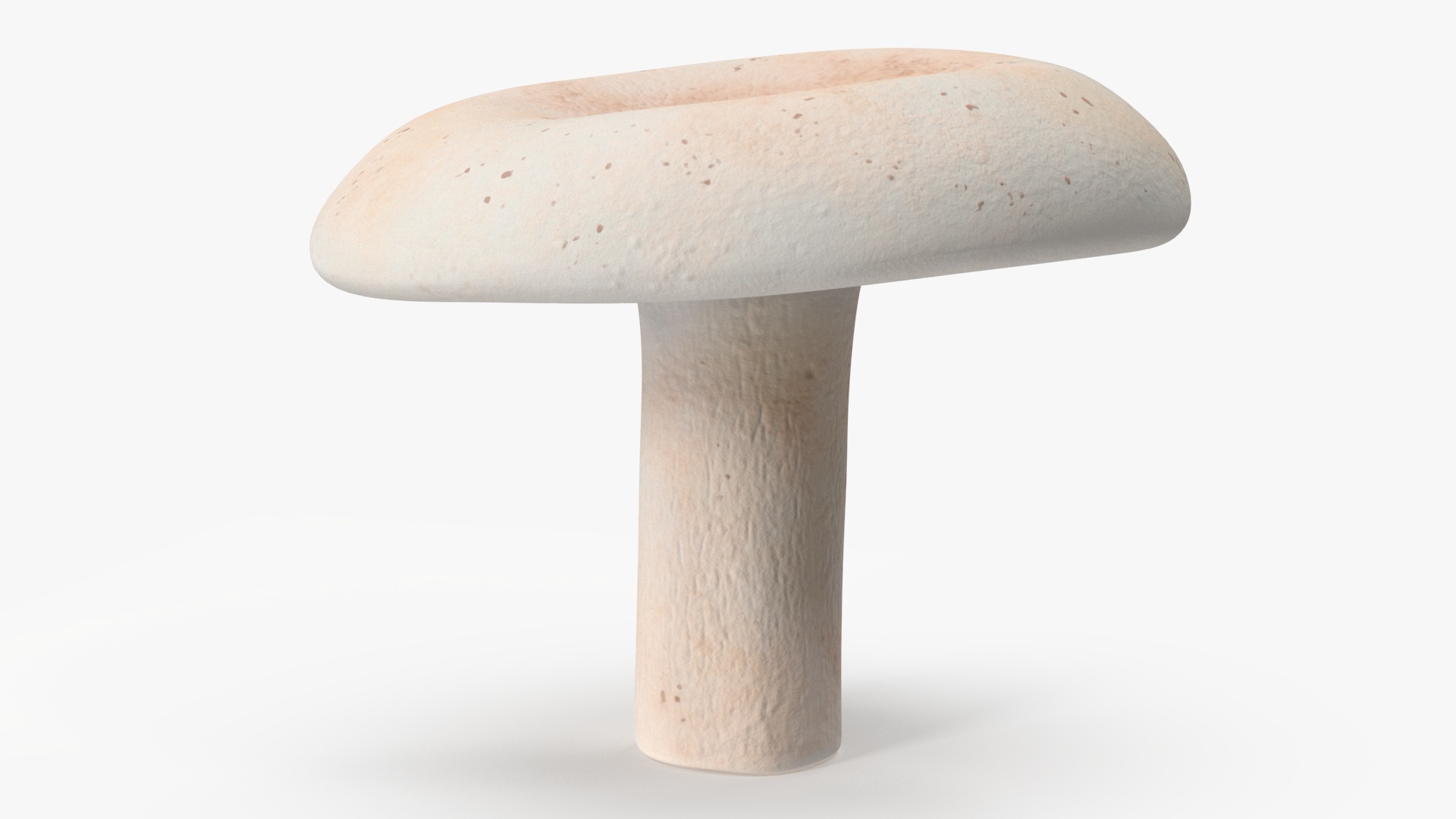 3D Milk Mushroom model