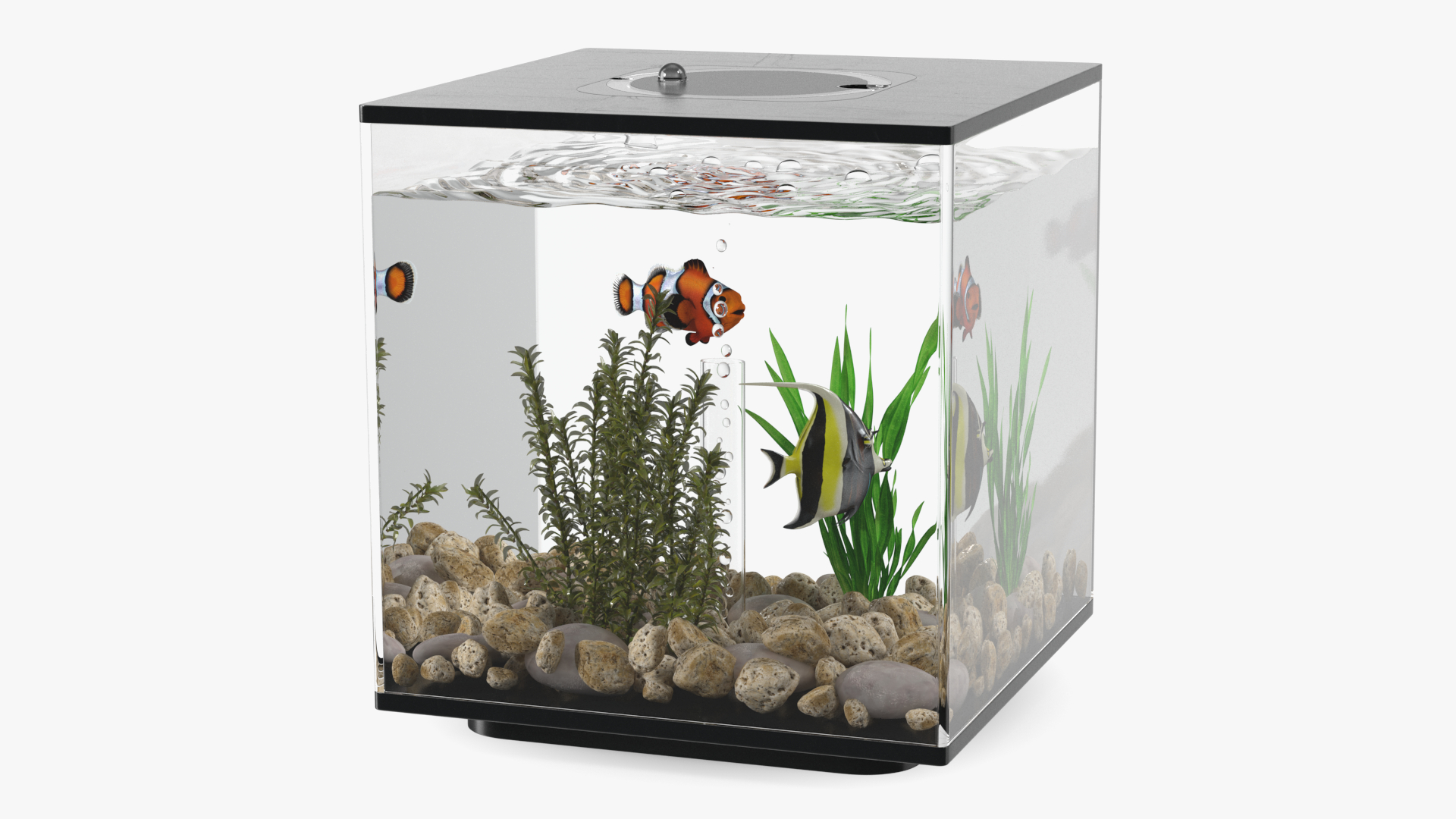 Aquarium Cube Black 3D model