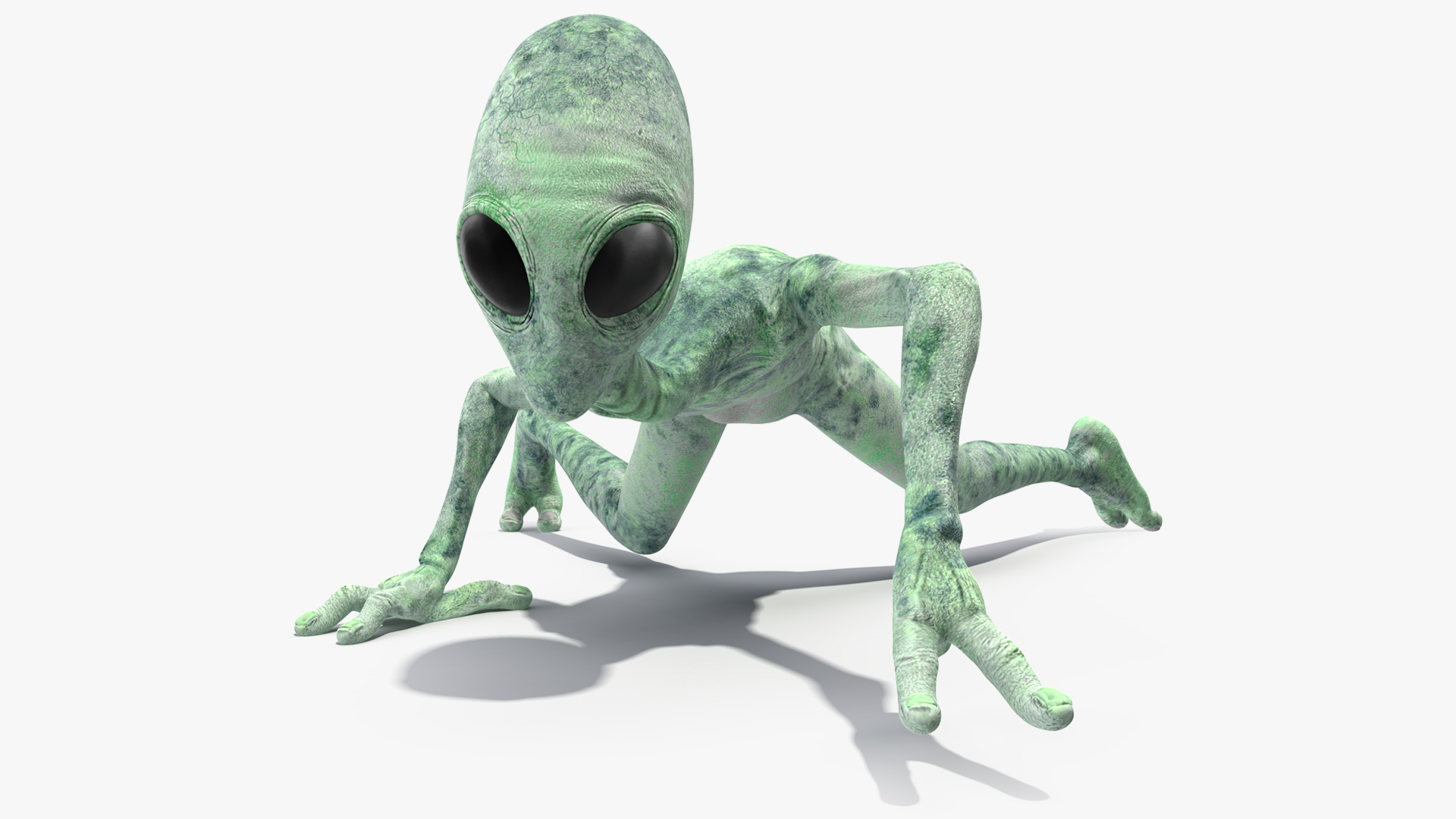 3D Green Alien Rigged model