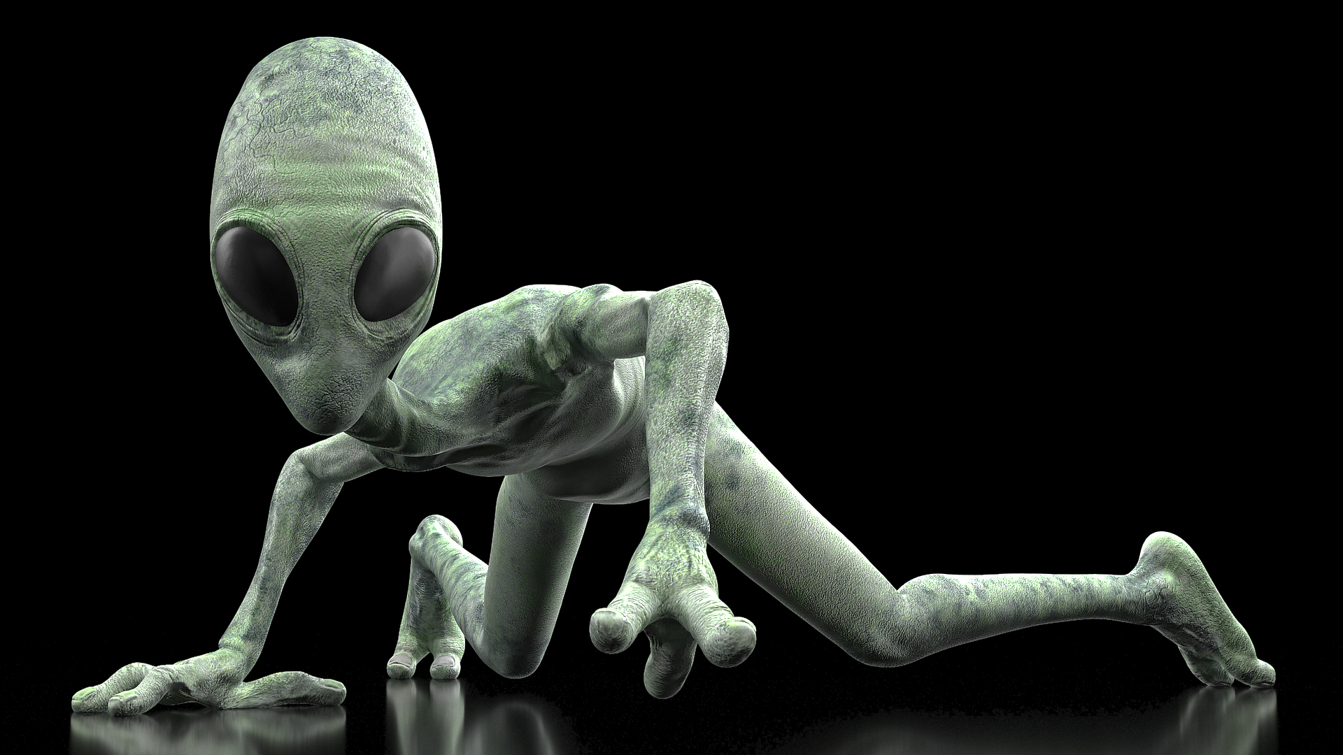 3D Green Alien Rigged model