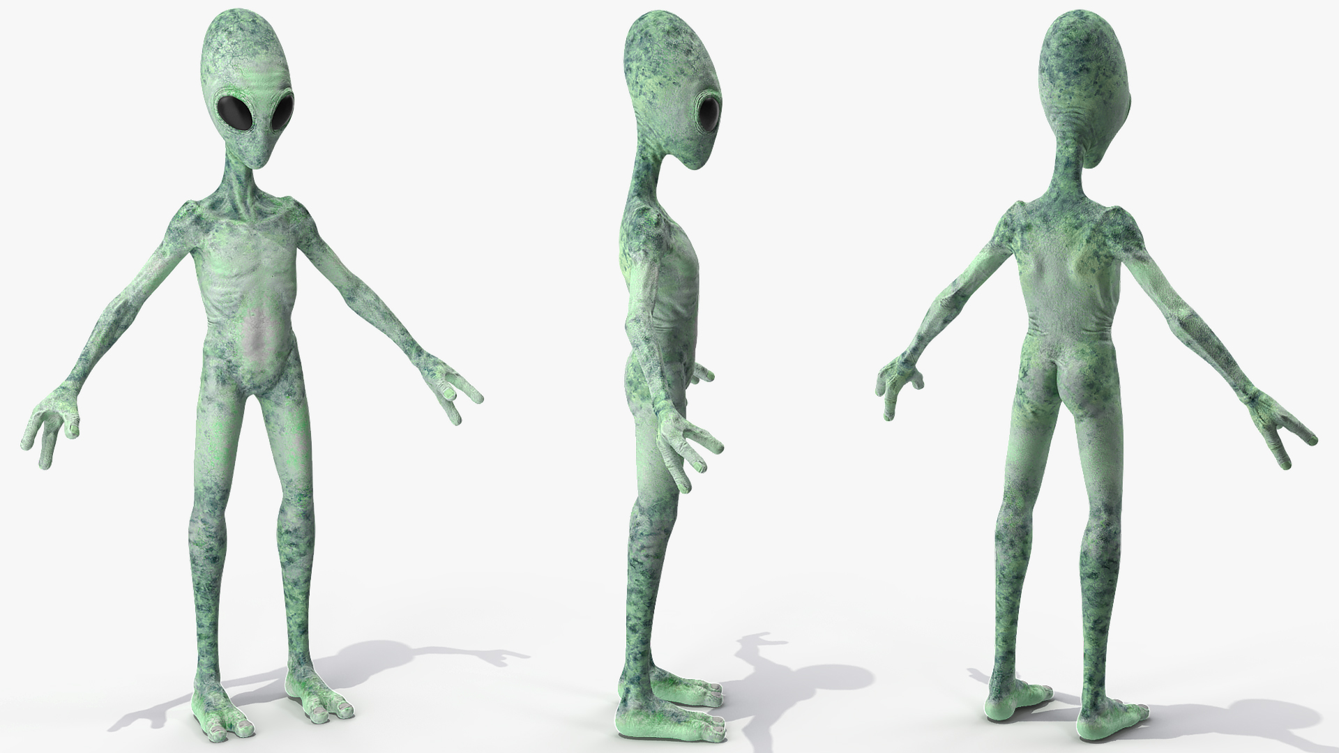 3D Green Alien Rigged model