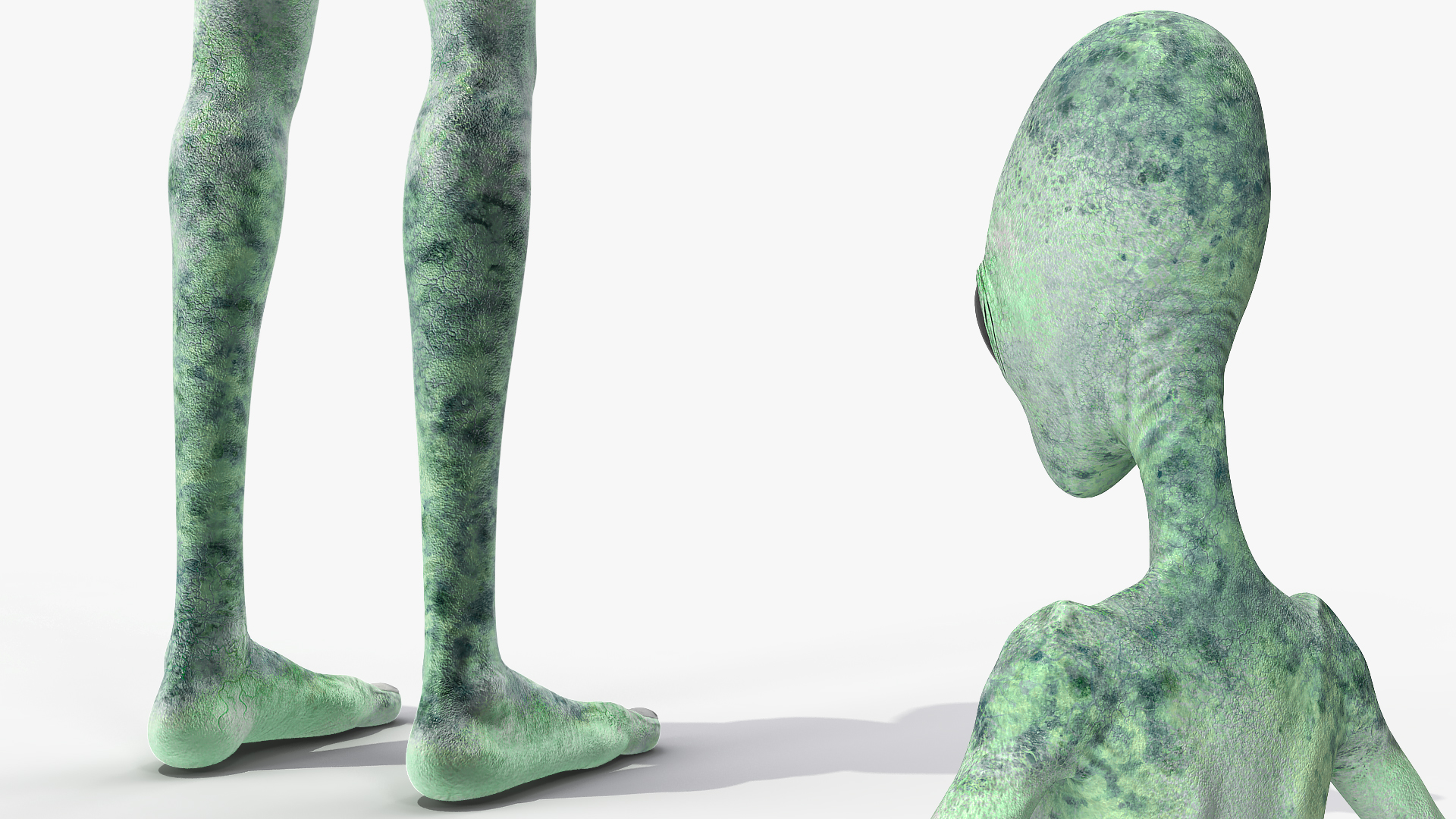 3D Green Alien Rigged model