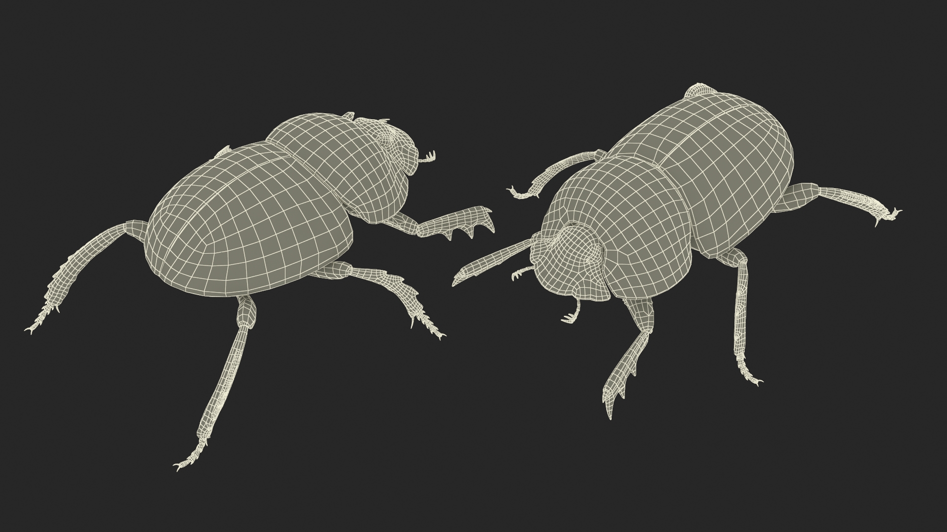 3D Mud Beetle Dirty Rigged model