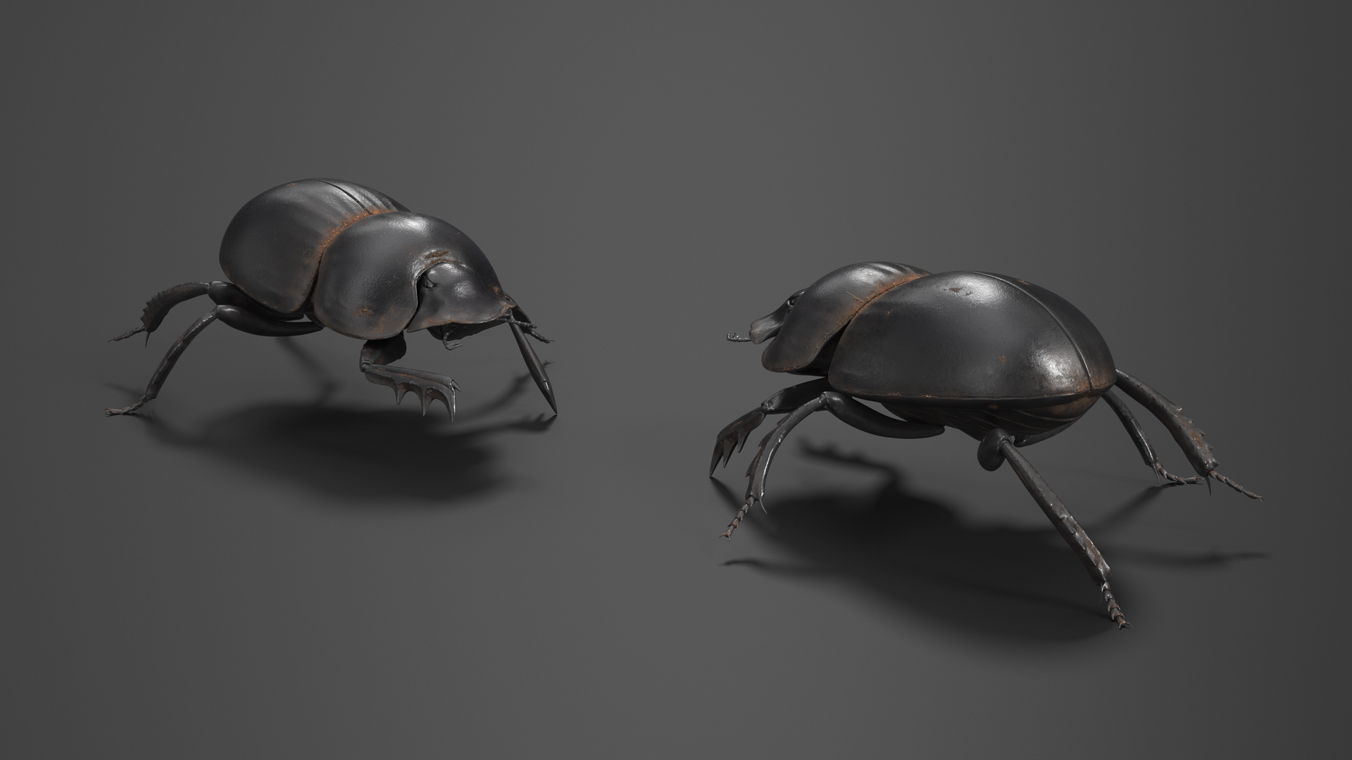 3D Mud Beetle Dirty Rigged model