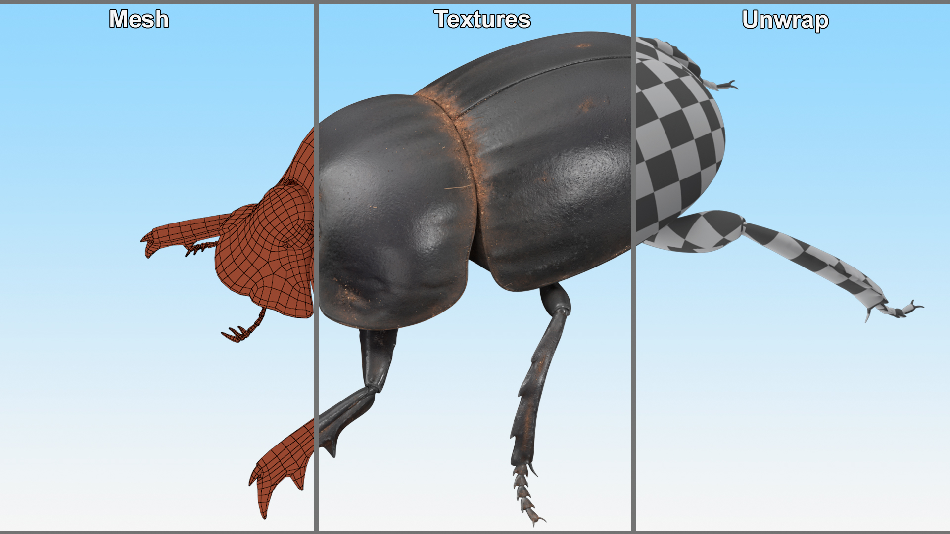 3D Mud Beetle Dirty Rigged model