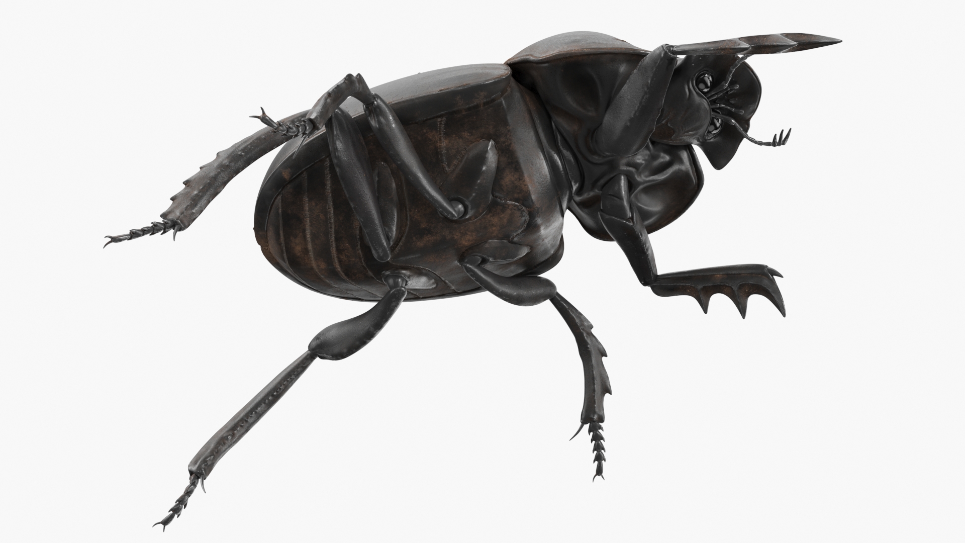 3D Mud Beetle Dirty Rigged model