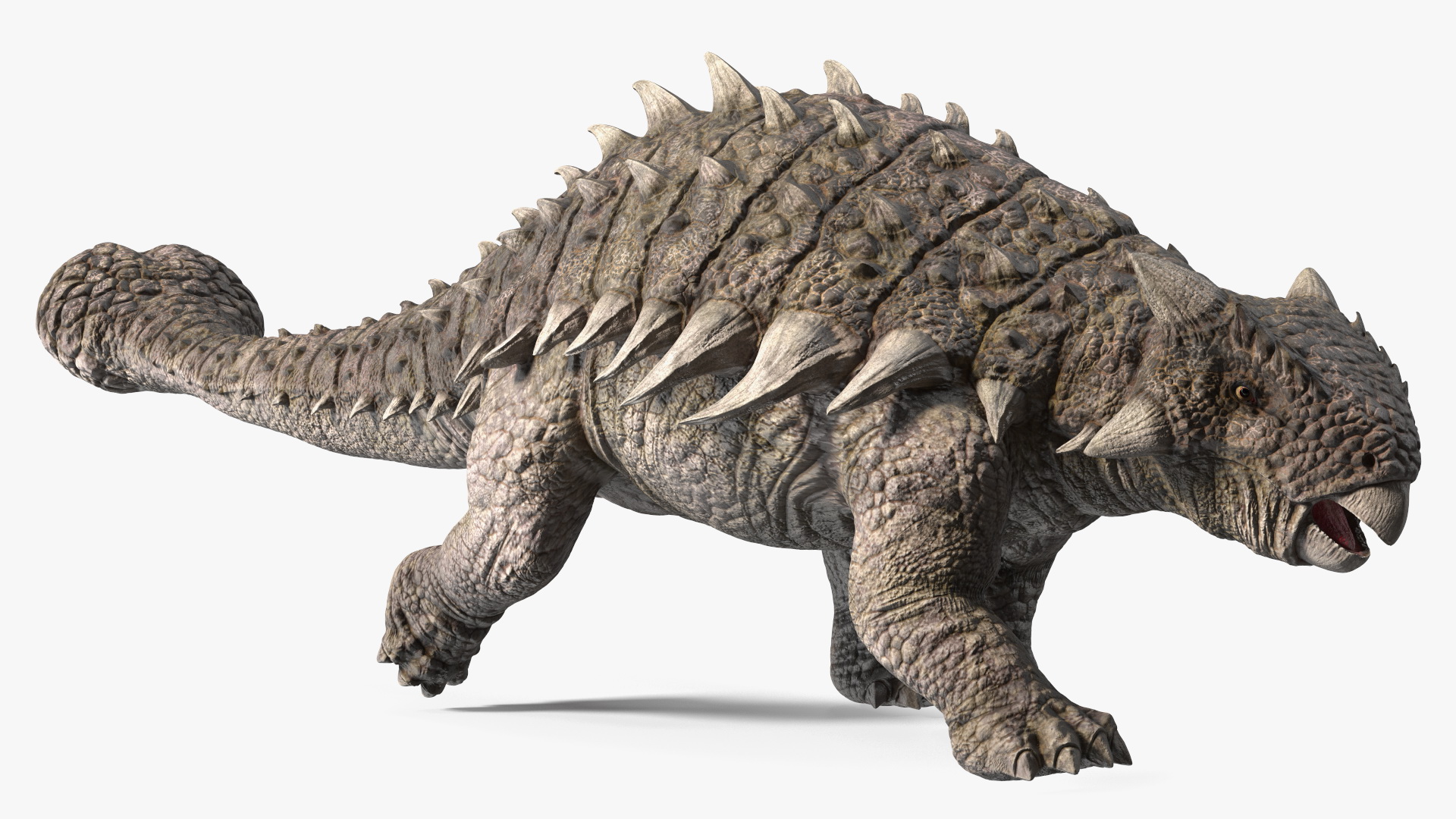 Ankylosaurus from Desert Habitats Rigged for Cinema 4D 3D model