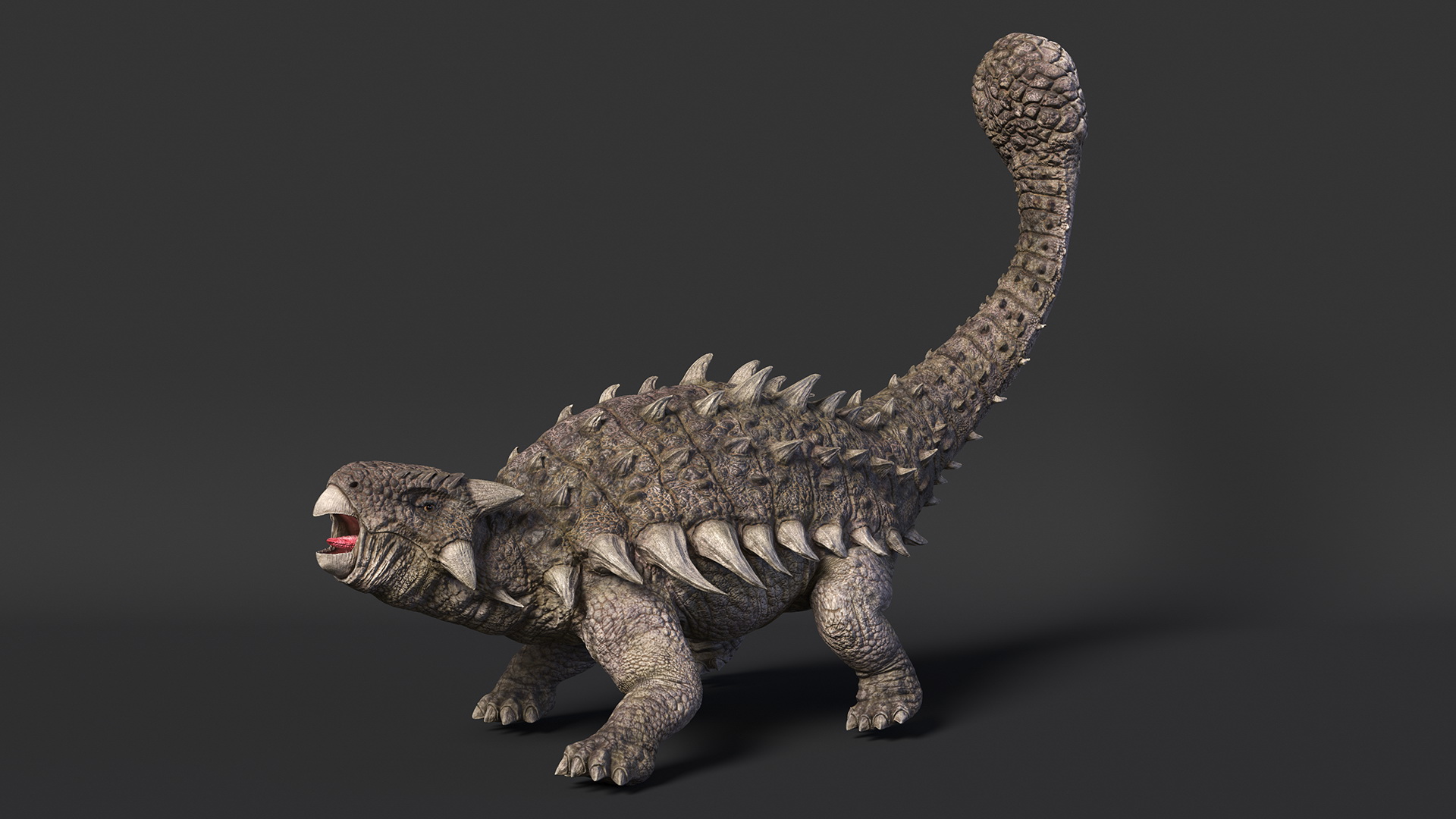 Ankylosaurus from Desert Habitats Rigged for Cinema 4D 3D model