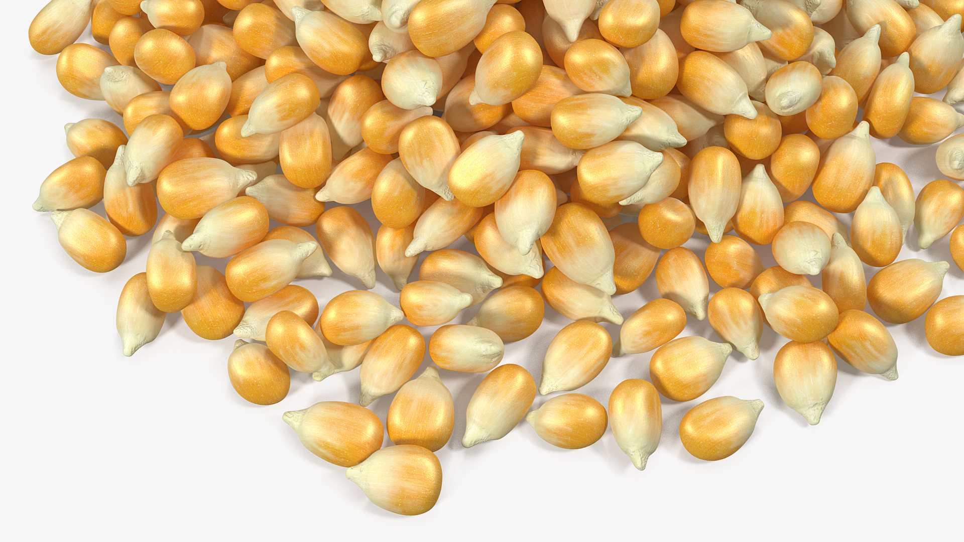 3D model Corn Seeds Pile