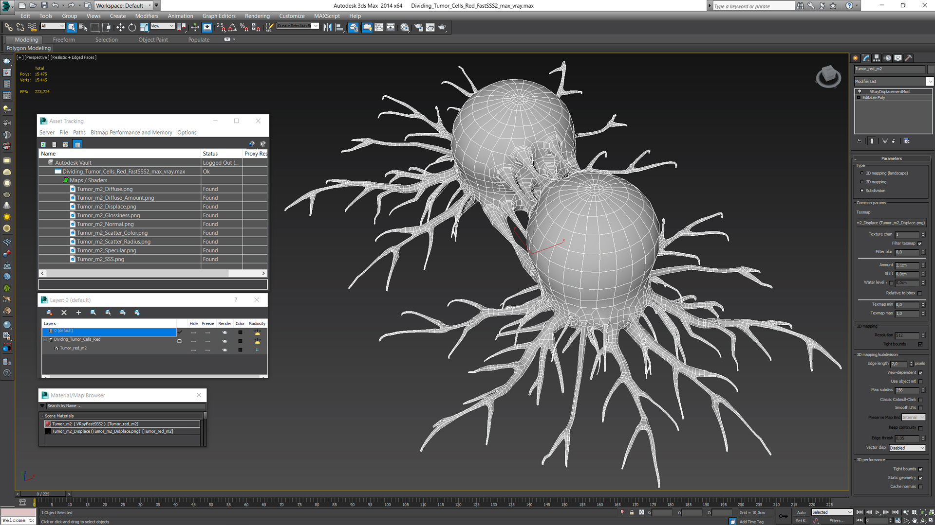 Dividing Tumor Cells Red 3D model