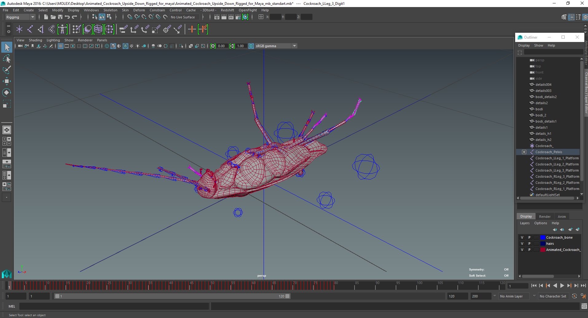 3D Animated Cockroach Upside Down Rigged for Maya