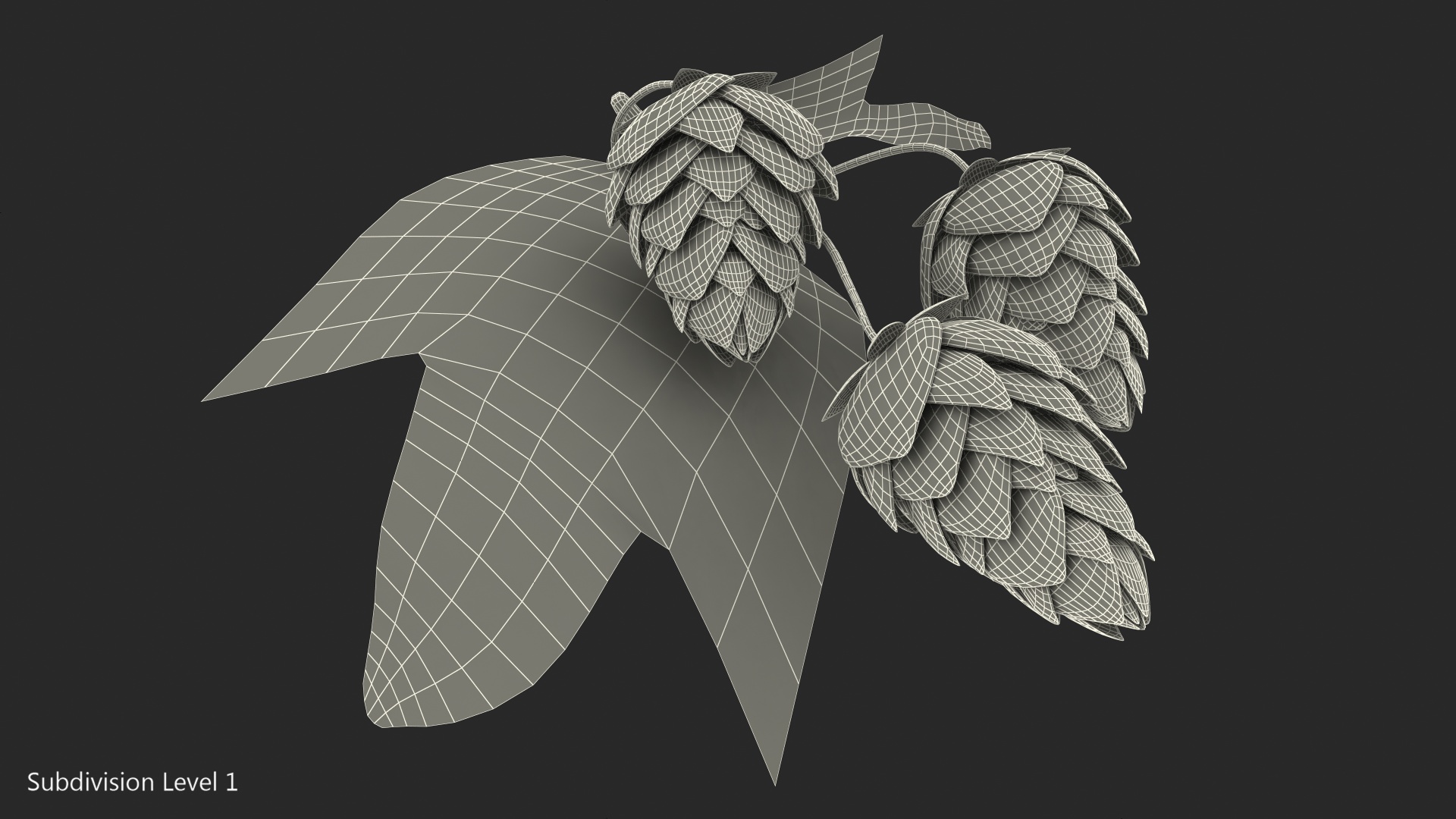 3D model Fresh Branch of Hops