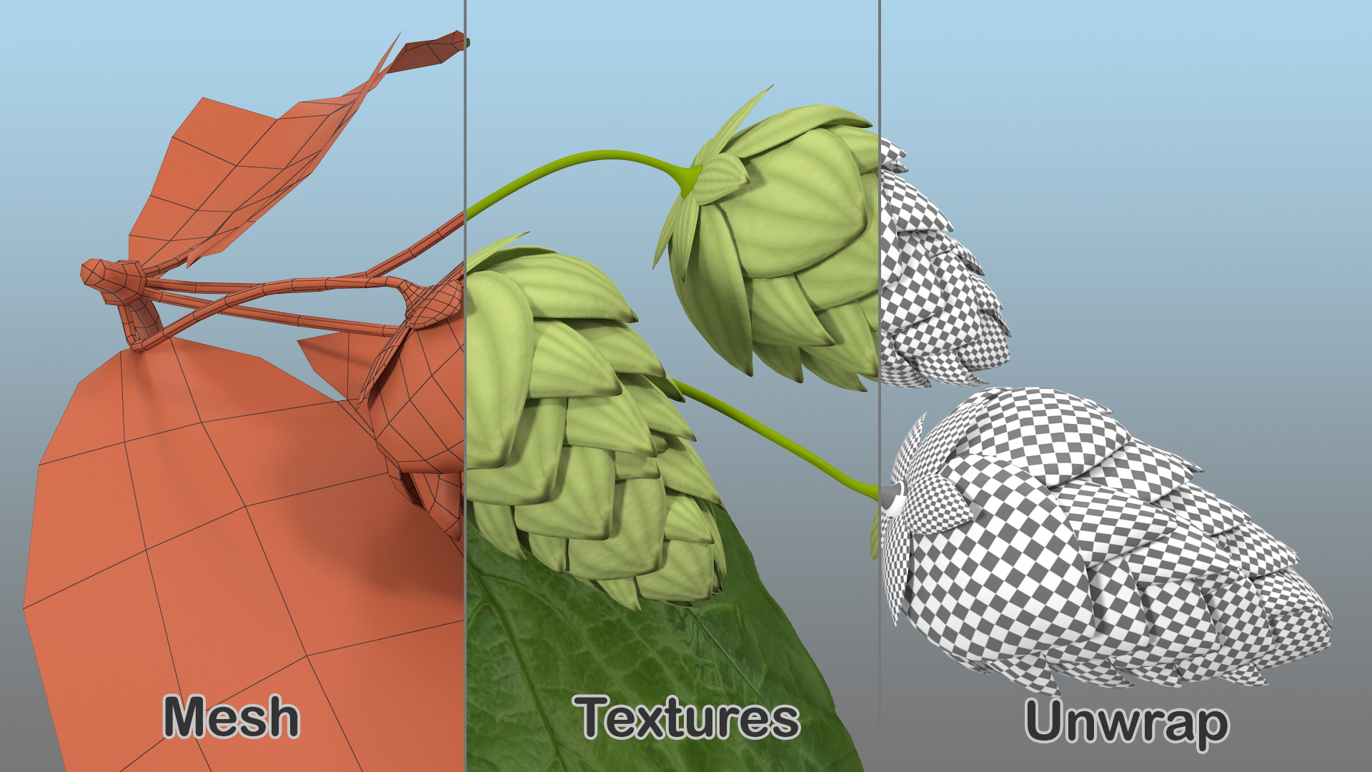 3D model Fresh Branch of Hops