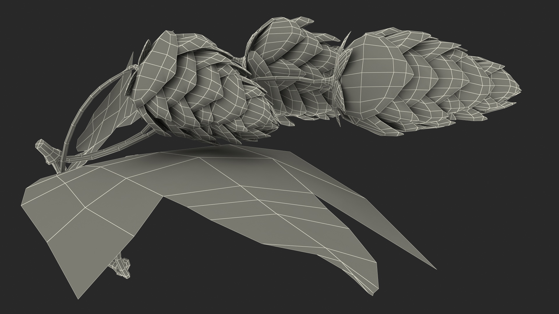 3D model Fresh Branch of Hops