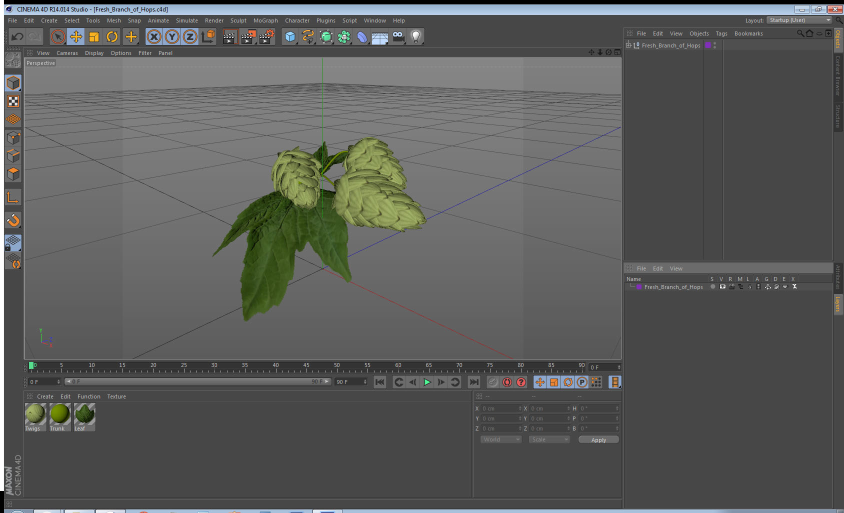 3D model Fresh Branch of Hops