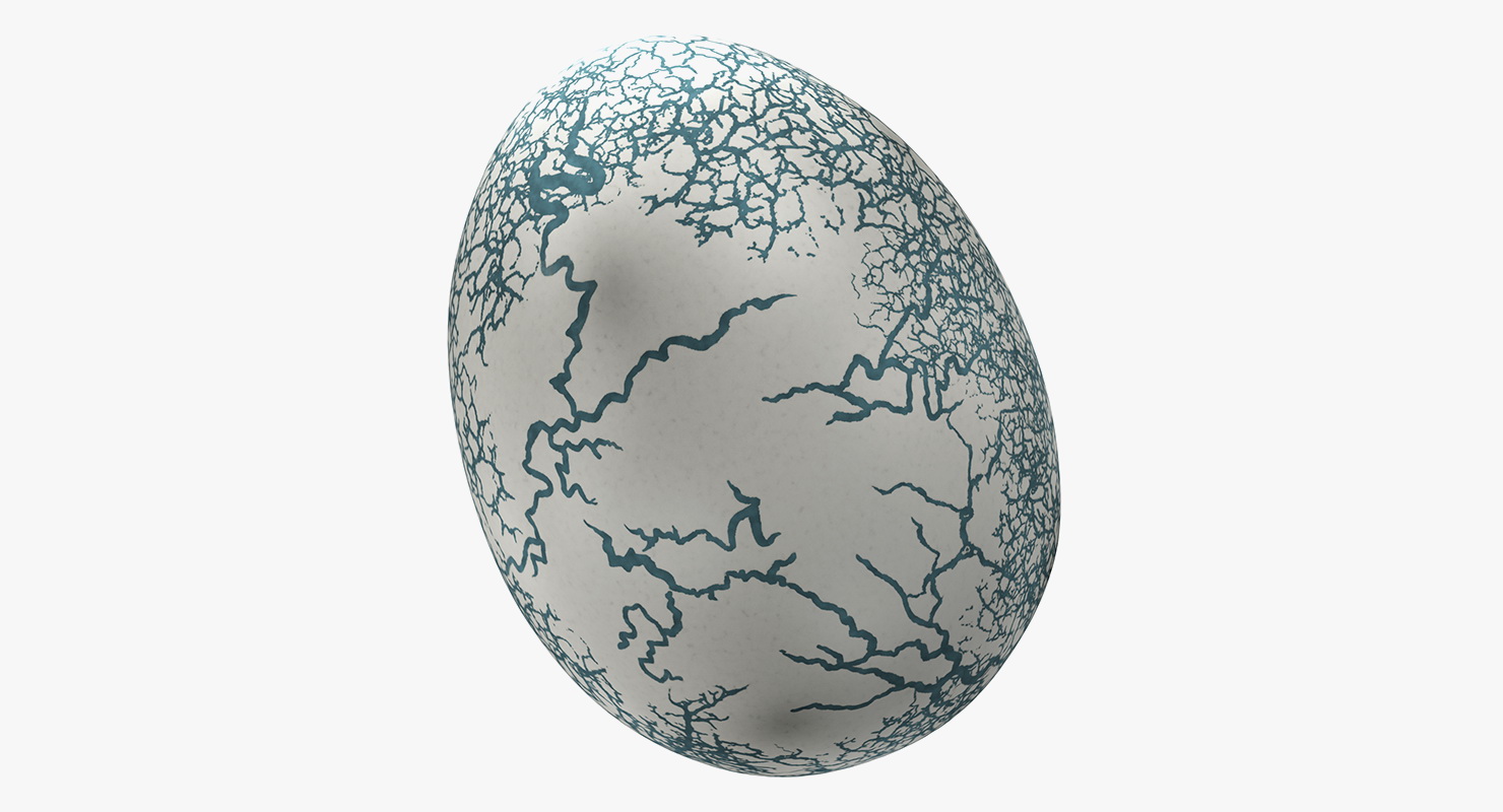 3D Fresh Dinosaur Egg model